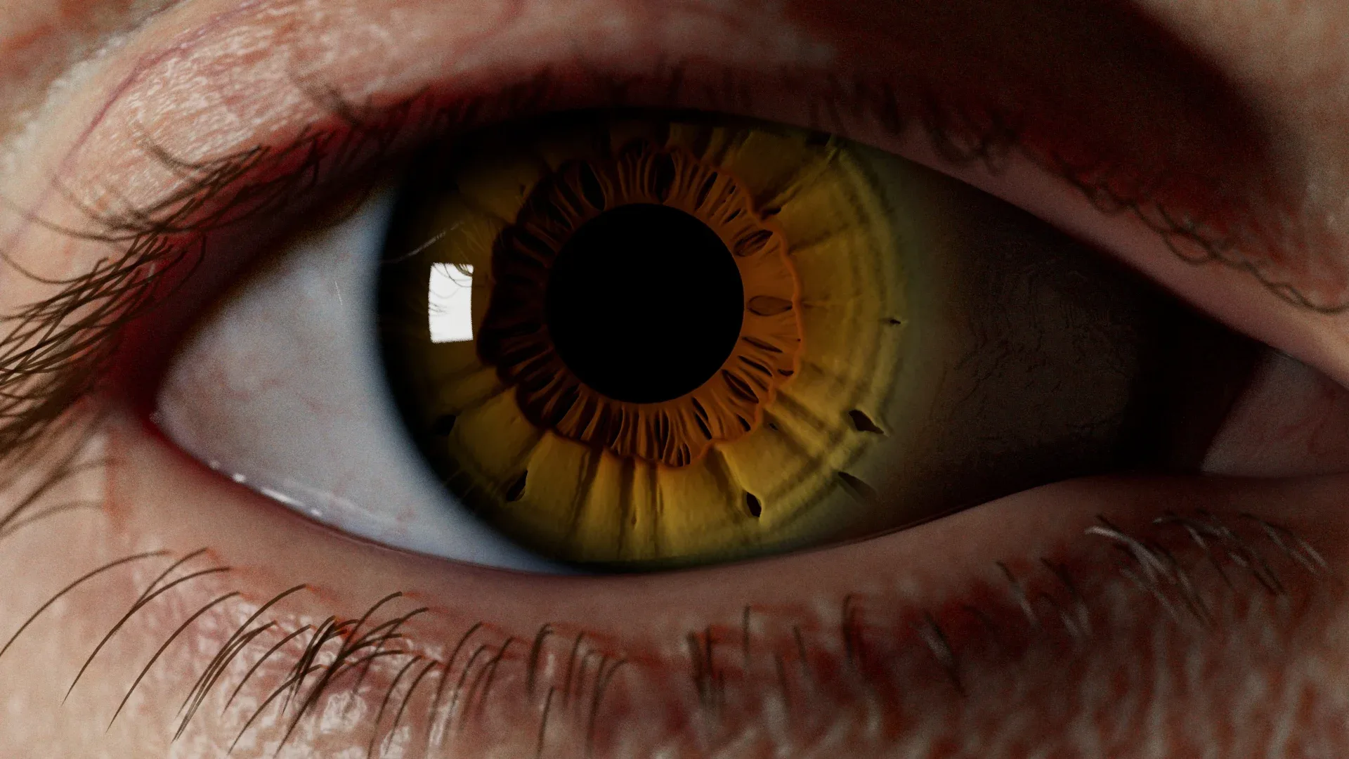IrisGen - Procedural Iris Geometry Generator for Houdini