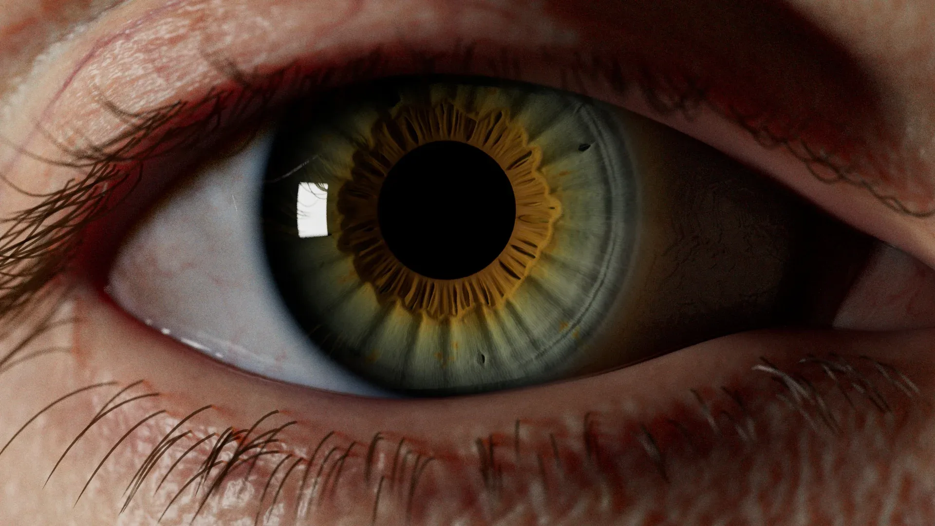 IrisGen - Procedural Iris Geometry Generator for Houdini