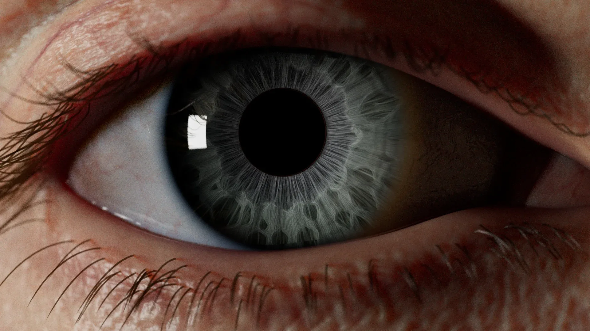 IrisGen - Procedural Iris Geometry Generator for Houdini