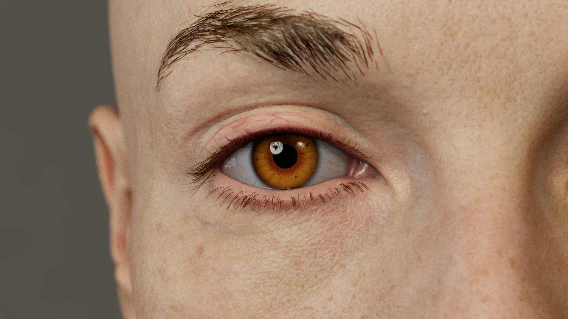 IrisGen - Procedural Iris Geometry Generator for Houdini