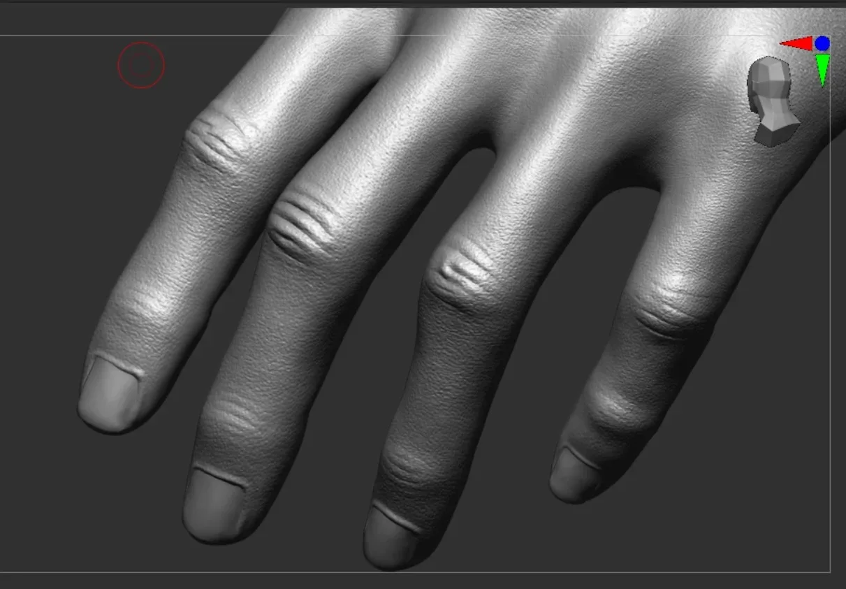 ZBRUSH FINGER KNUCKLE ALPHA