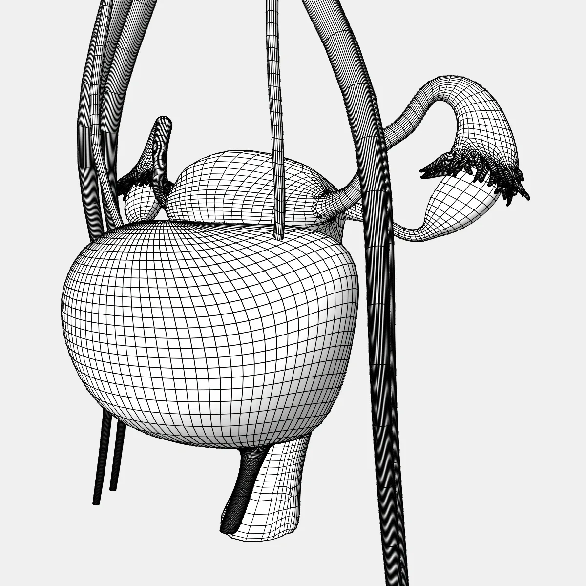 Male and Female Urinary System