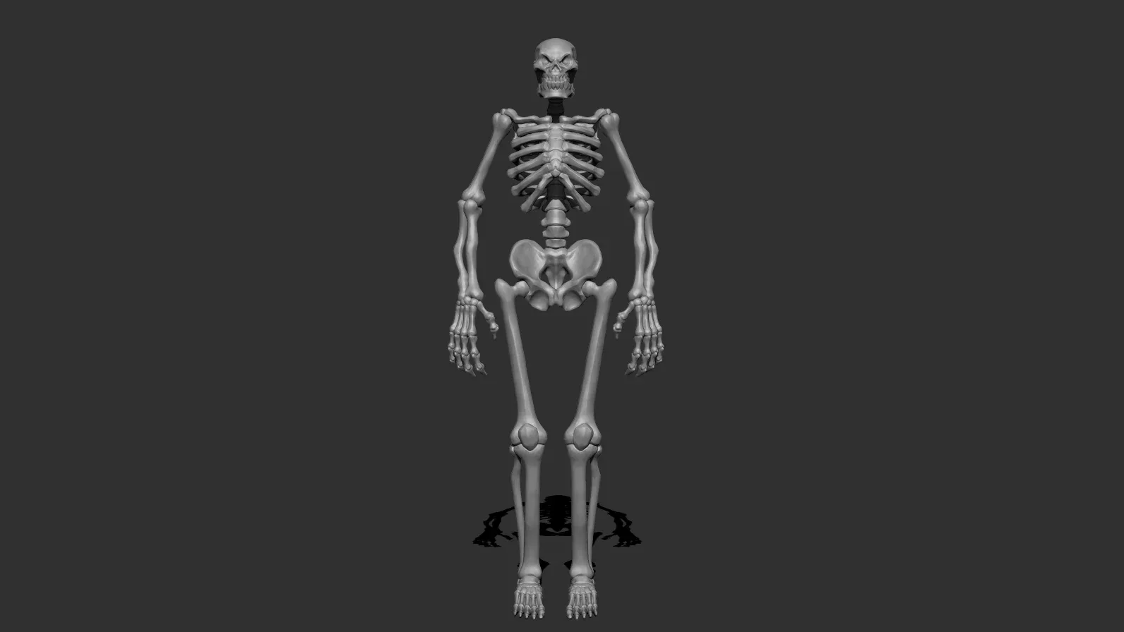 Stylized Skeleton