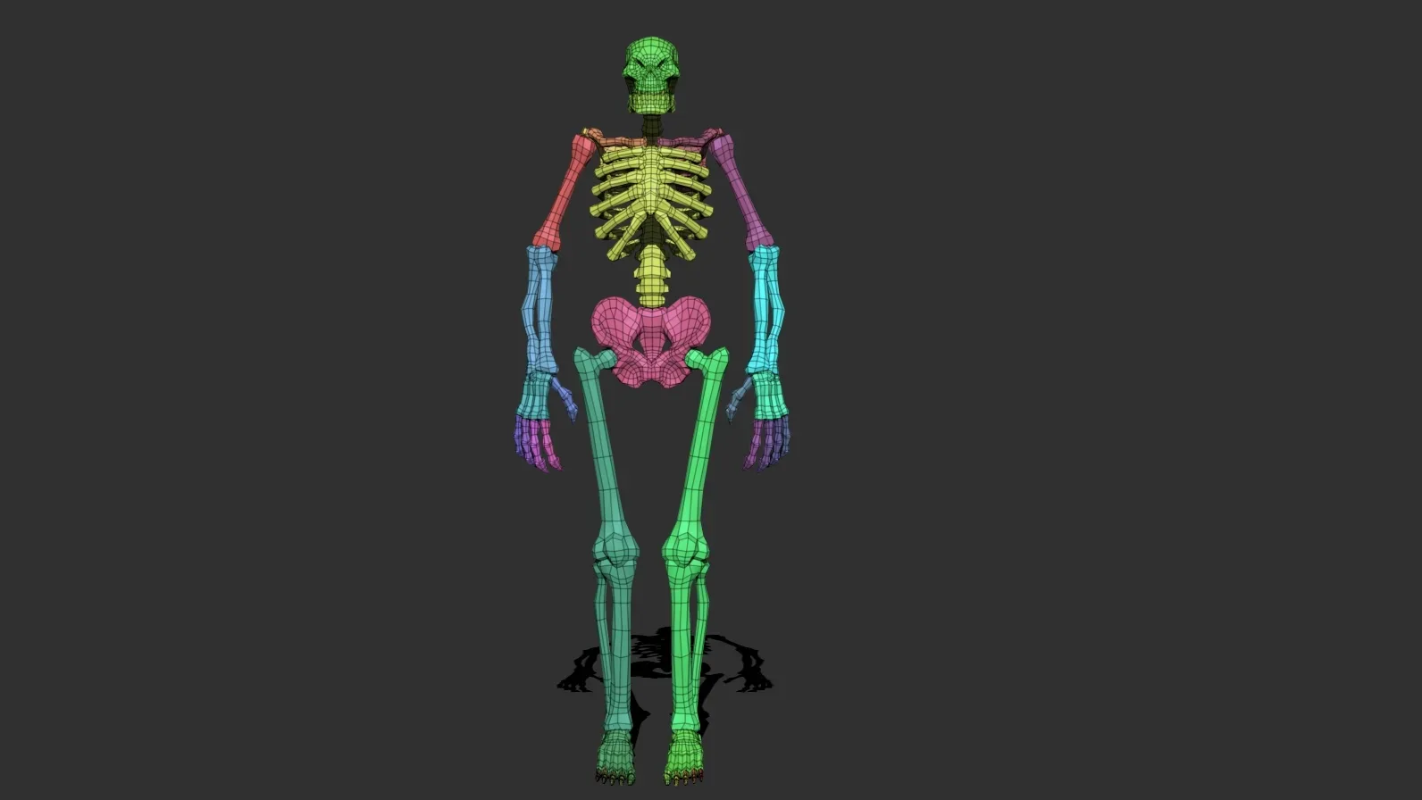 Stylized Skeleton