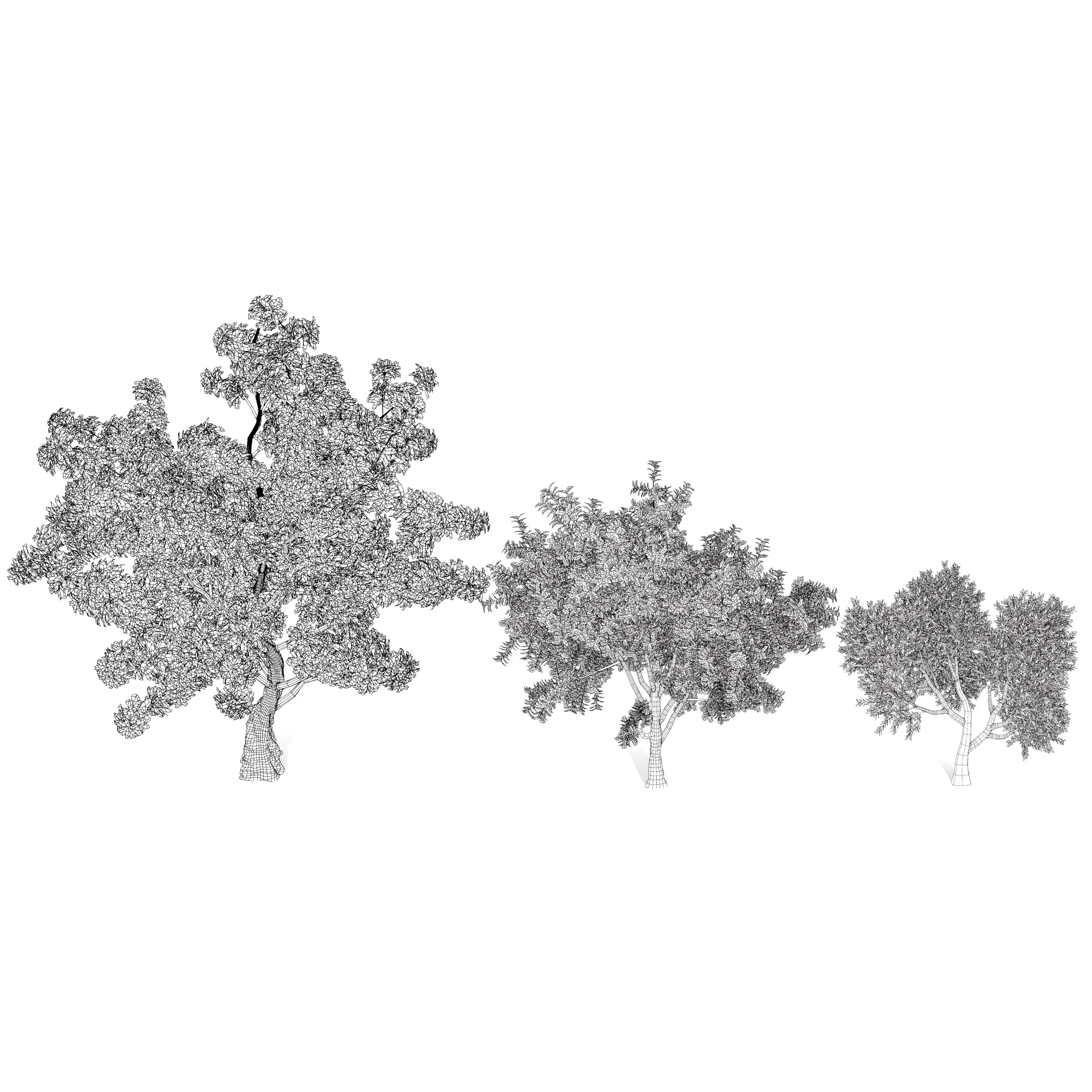 High-Quality Neem Tree Model