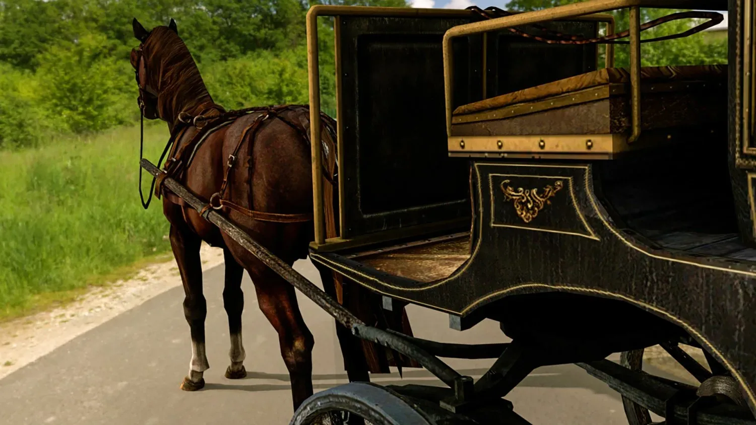 Horse Carriages