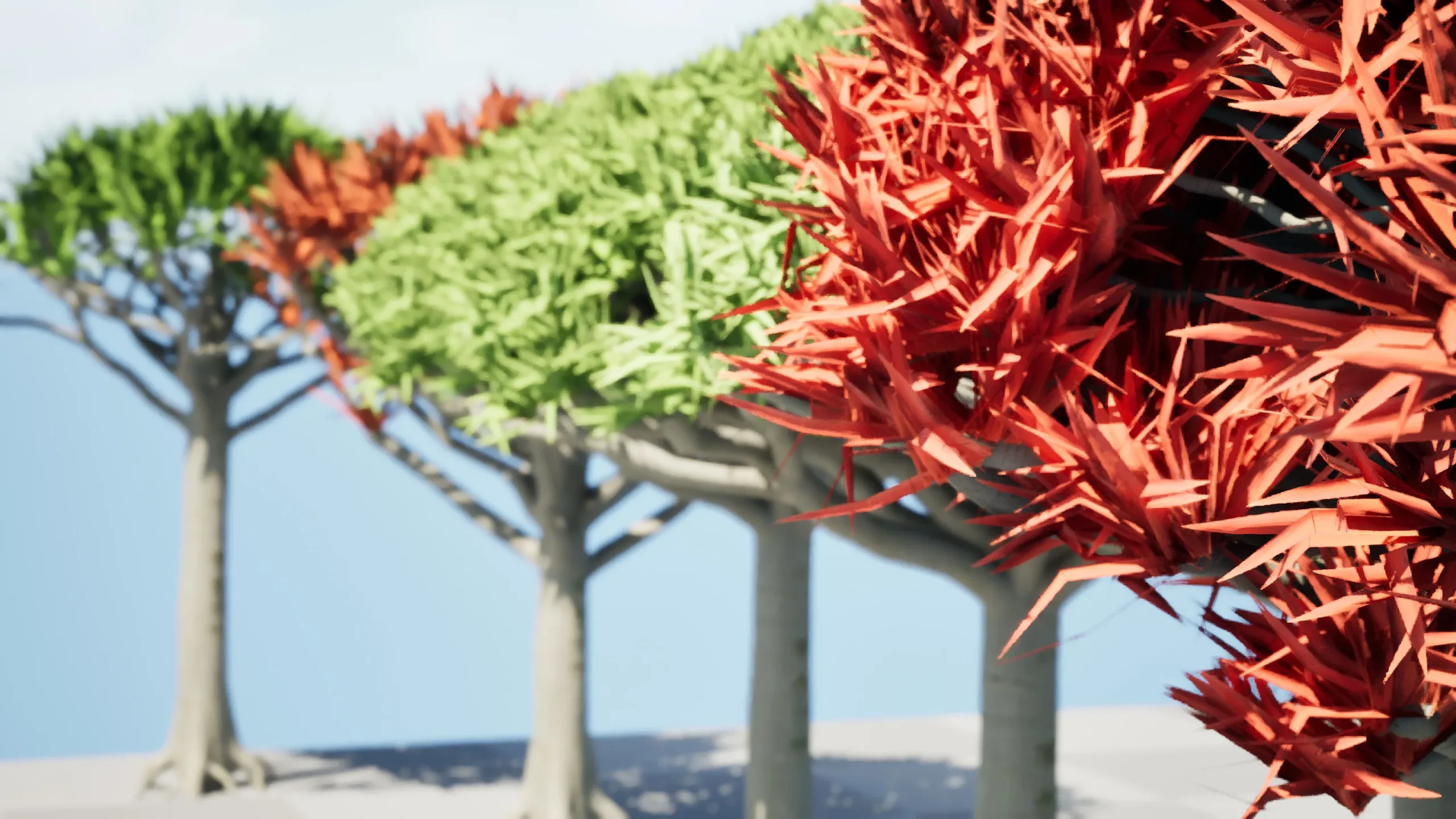 Dragon Blood Tree 3D Model