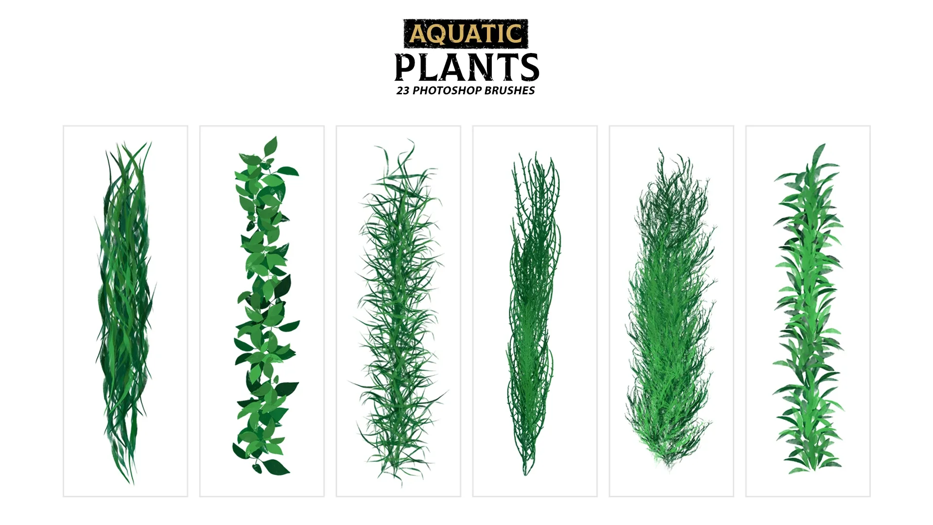 Aquatic Plants Brushes