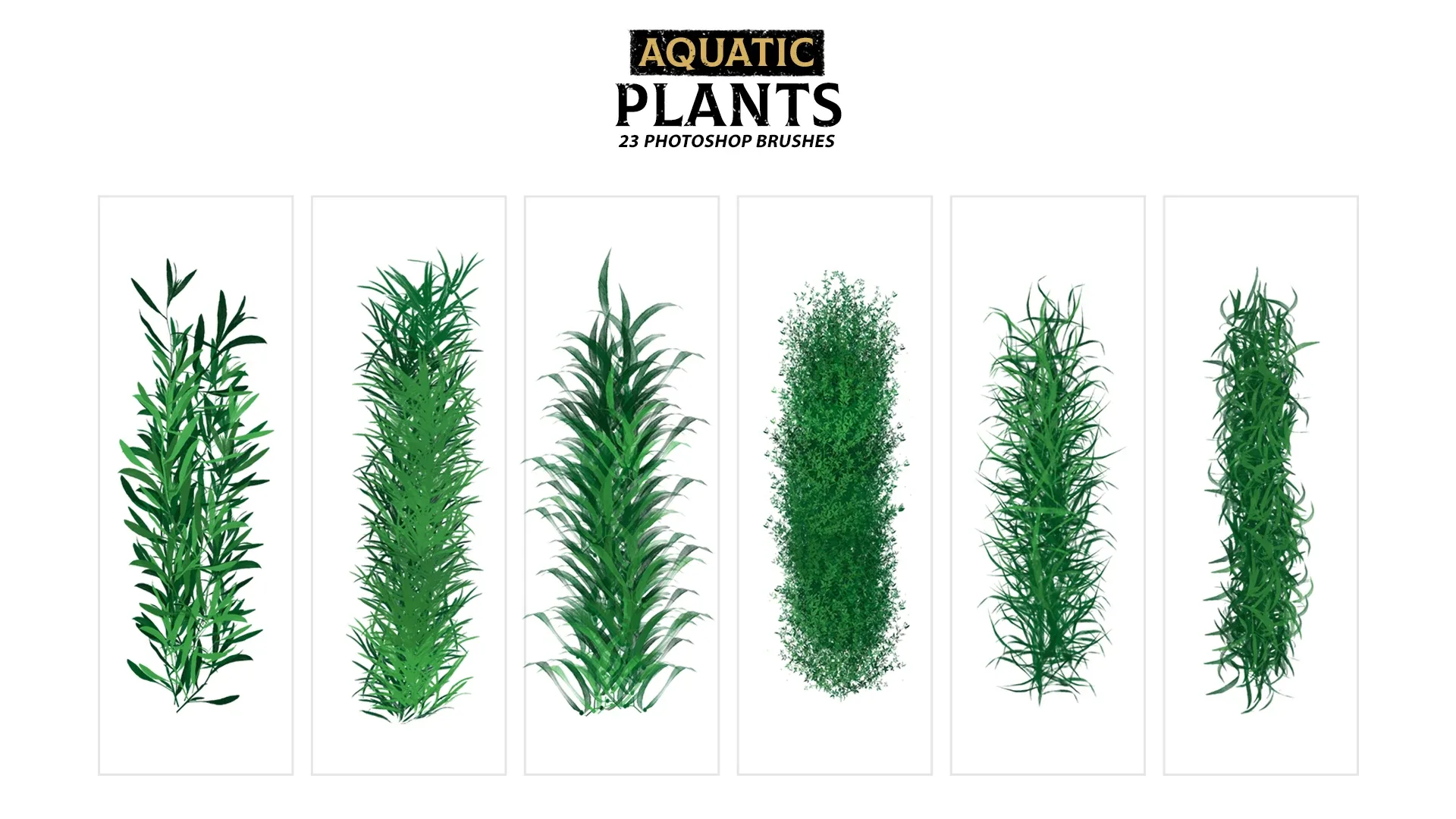 Aquatic Plants Brushes