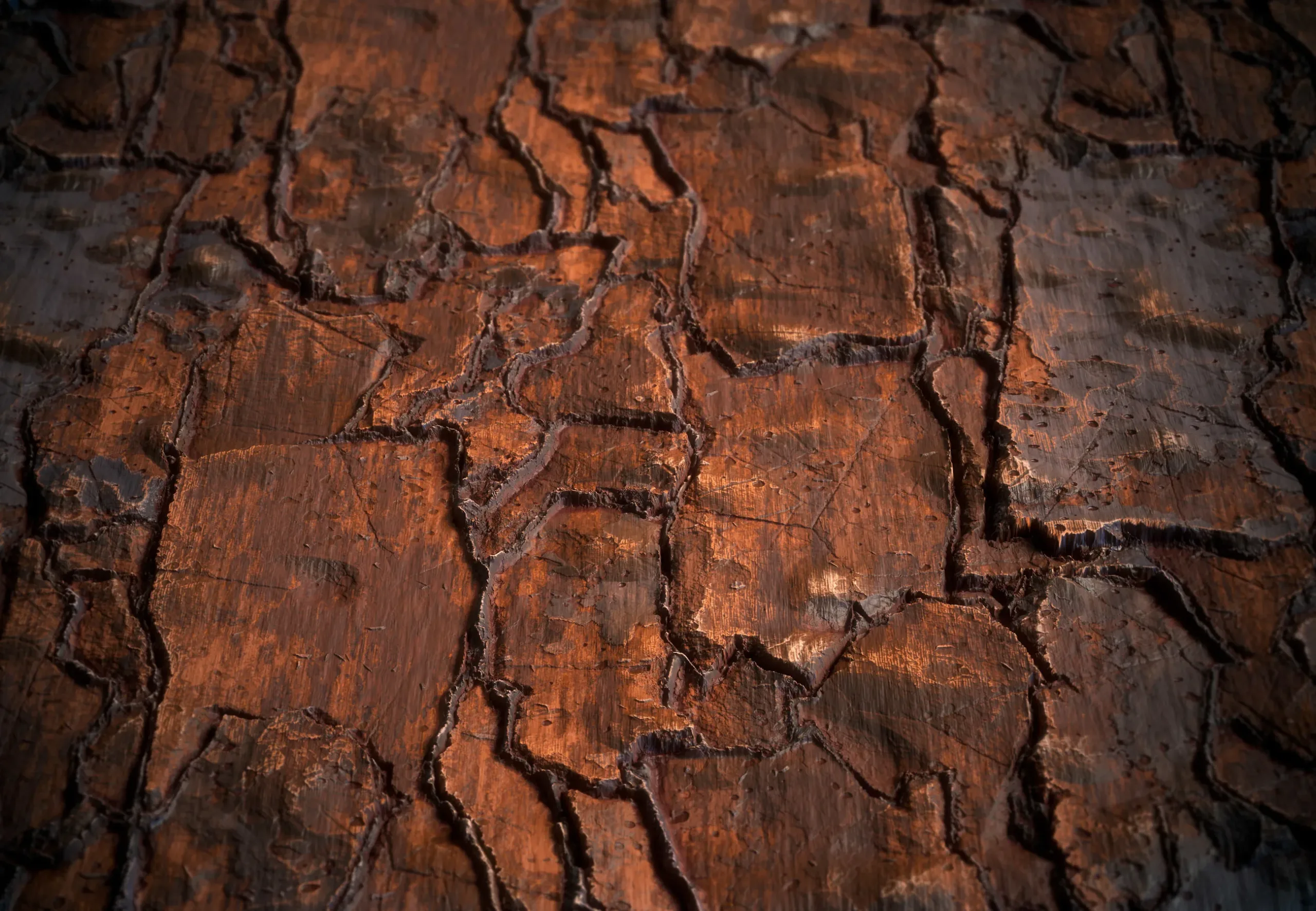 Wood Bark Material - VOL 05 - Maps & SBS & SBsar