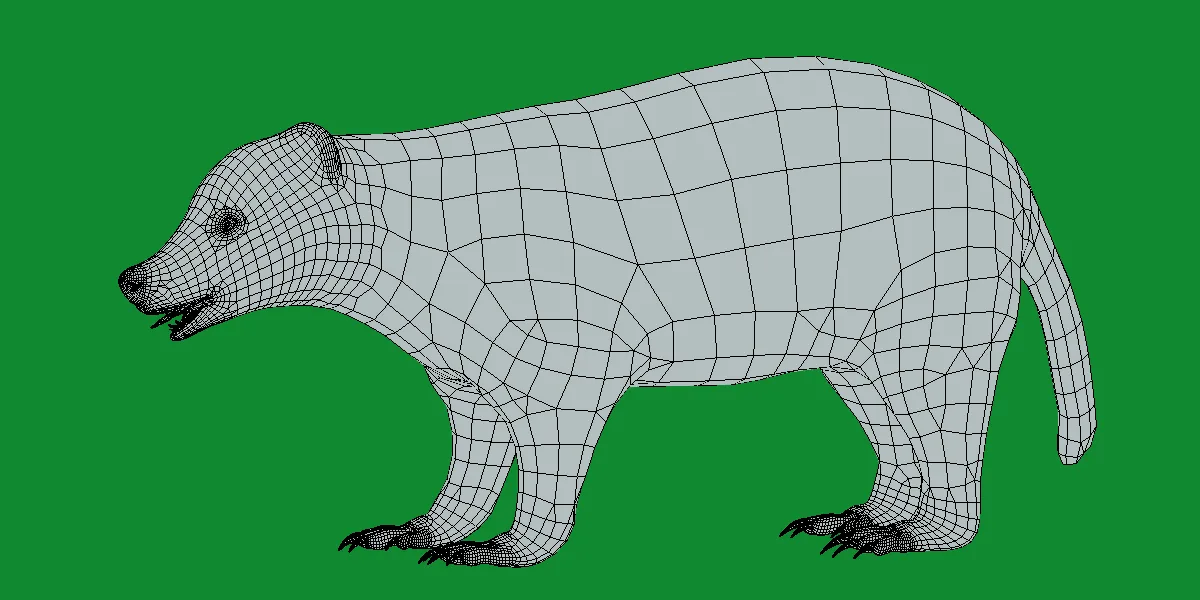 Japanese Badger