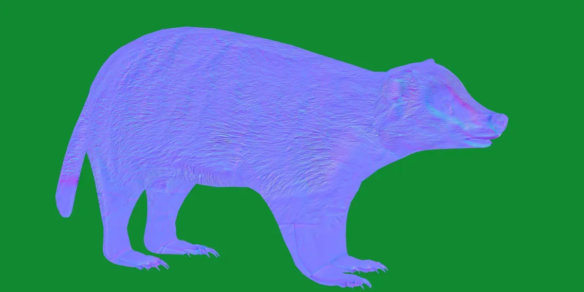 Japanese Badger