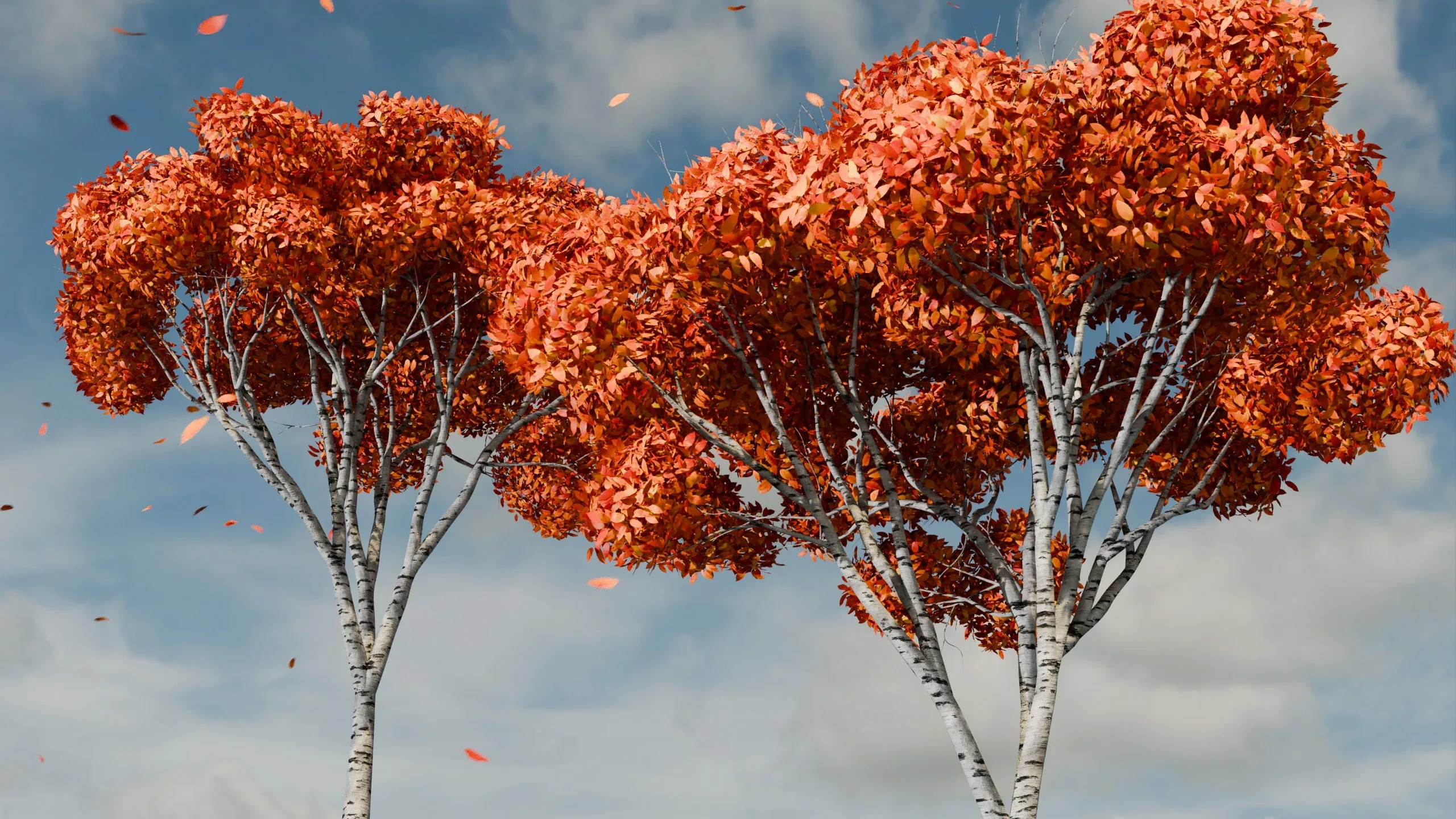 Autumn Birch Trees 🍂 FlippedNormals