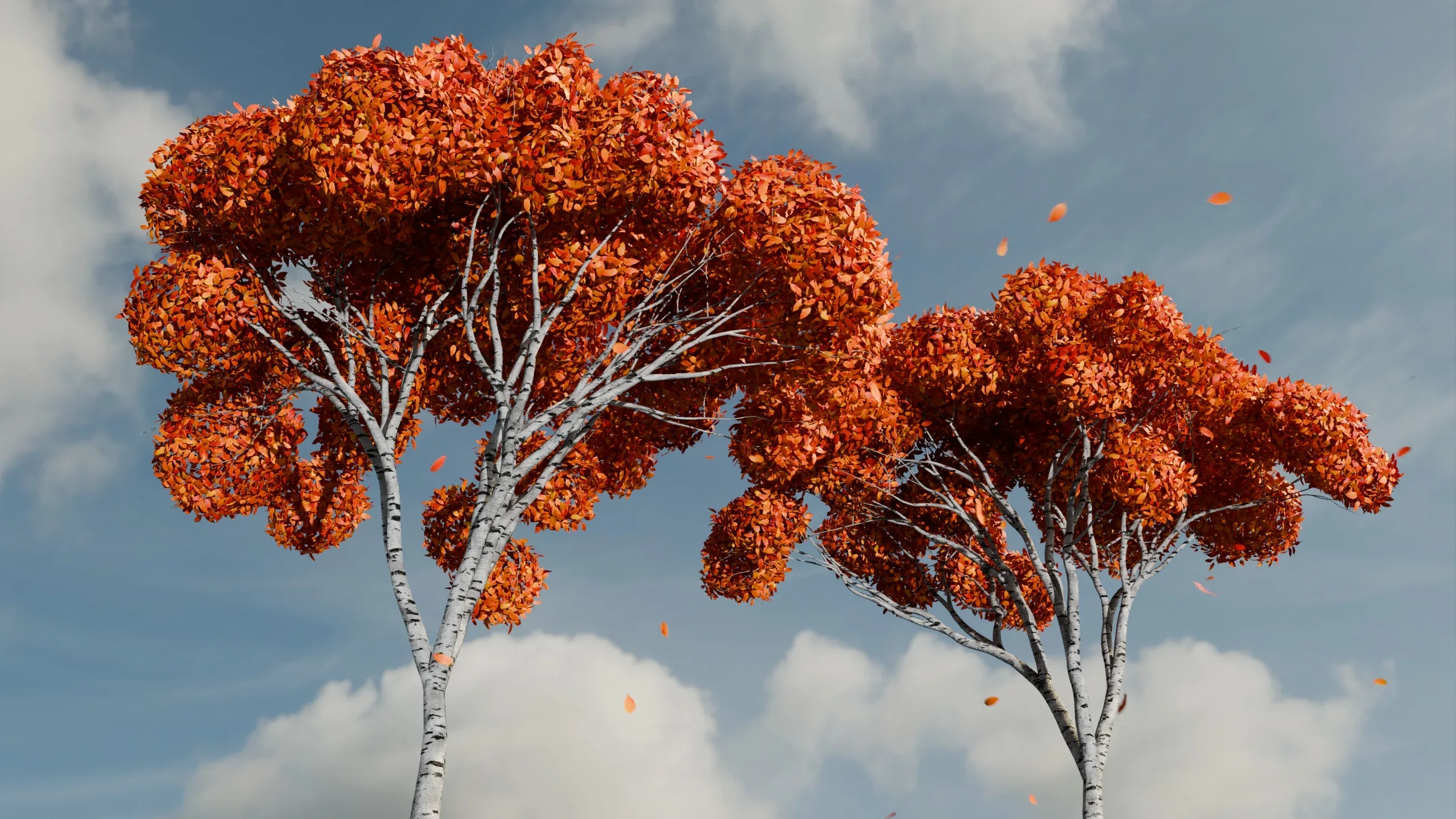 Autumn Birch Trees 🍂 FlippedNormals