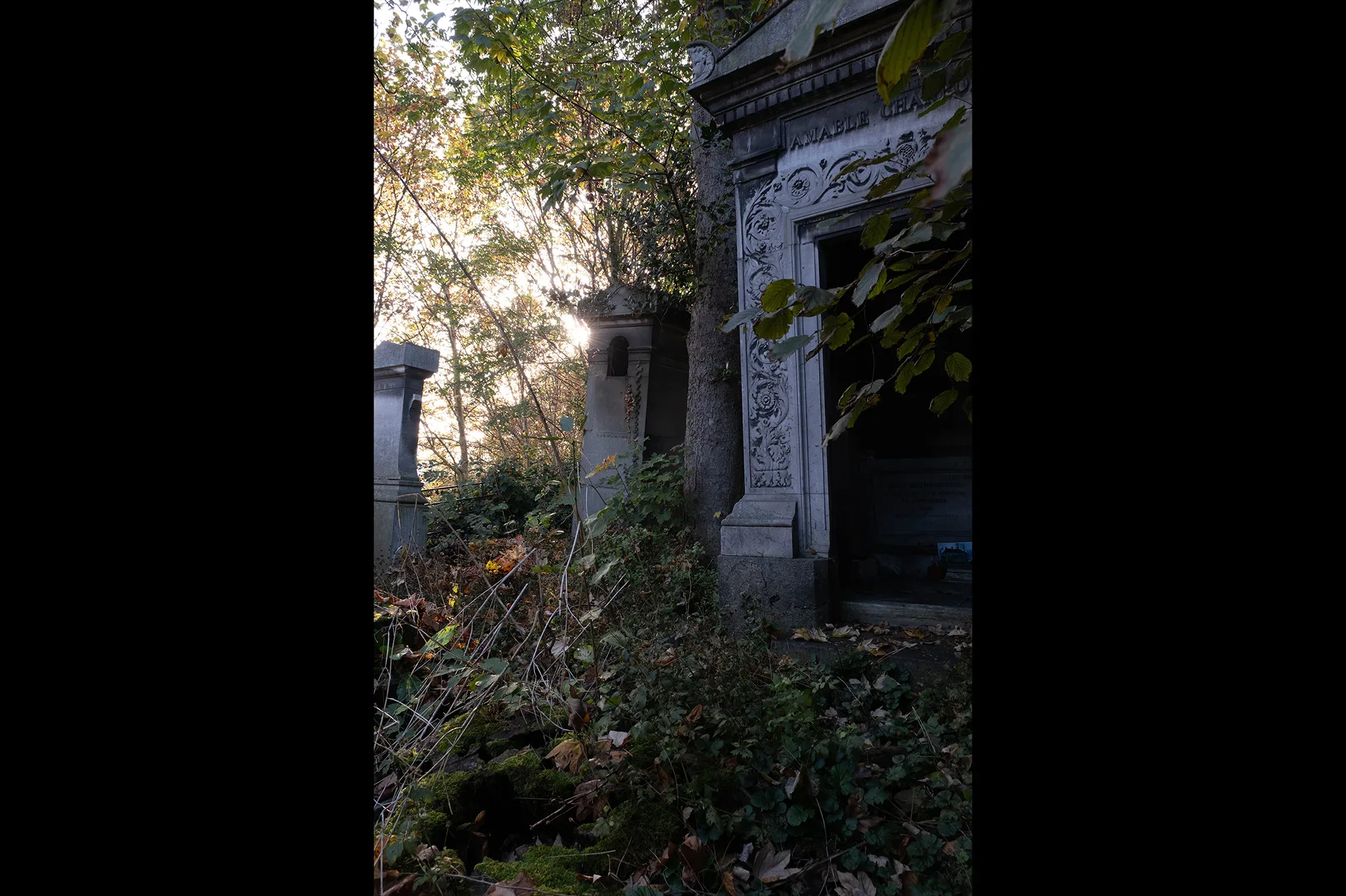 Vegetation Cemetery