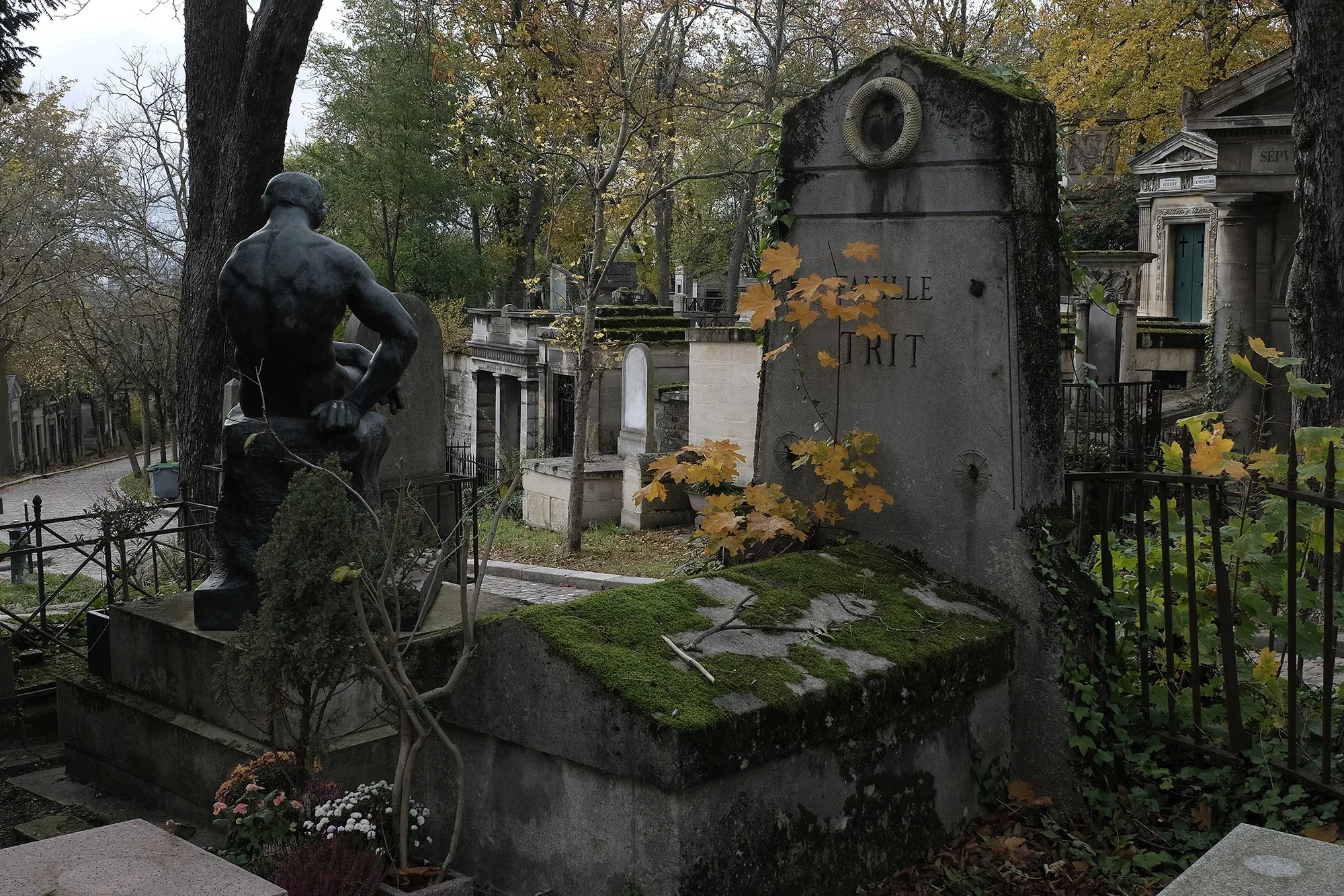 Vegetation Cemetery