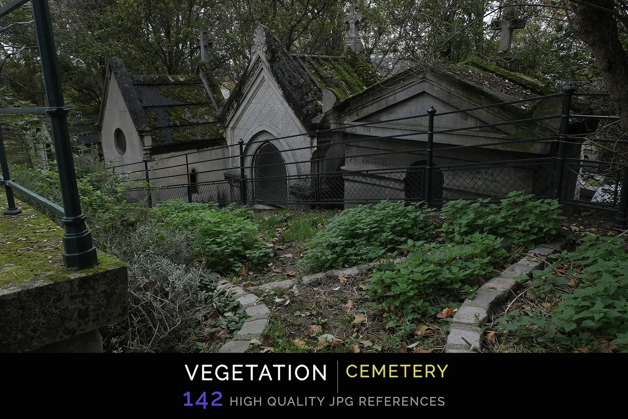 Vegetation Cemetery
