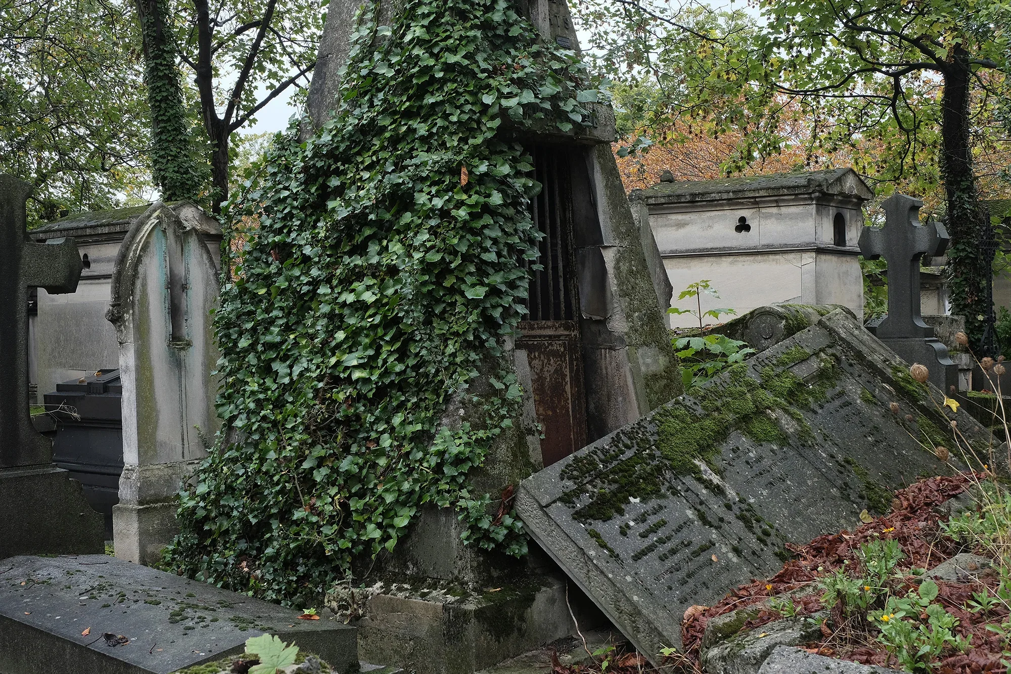 Vegetation Cemetery