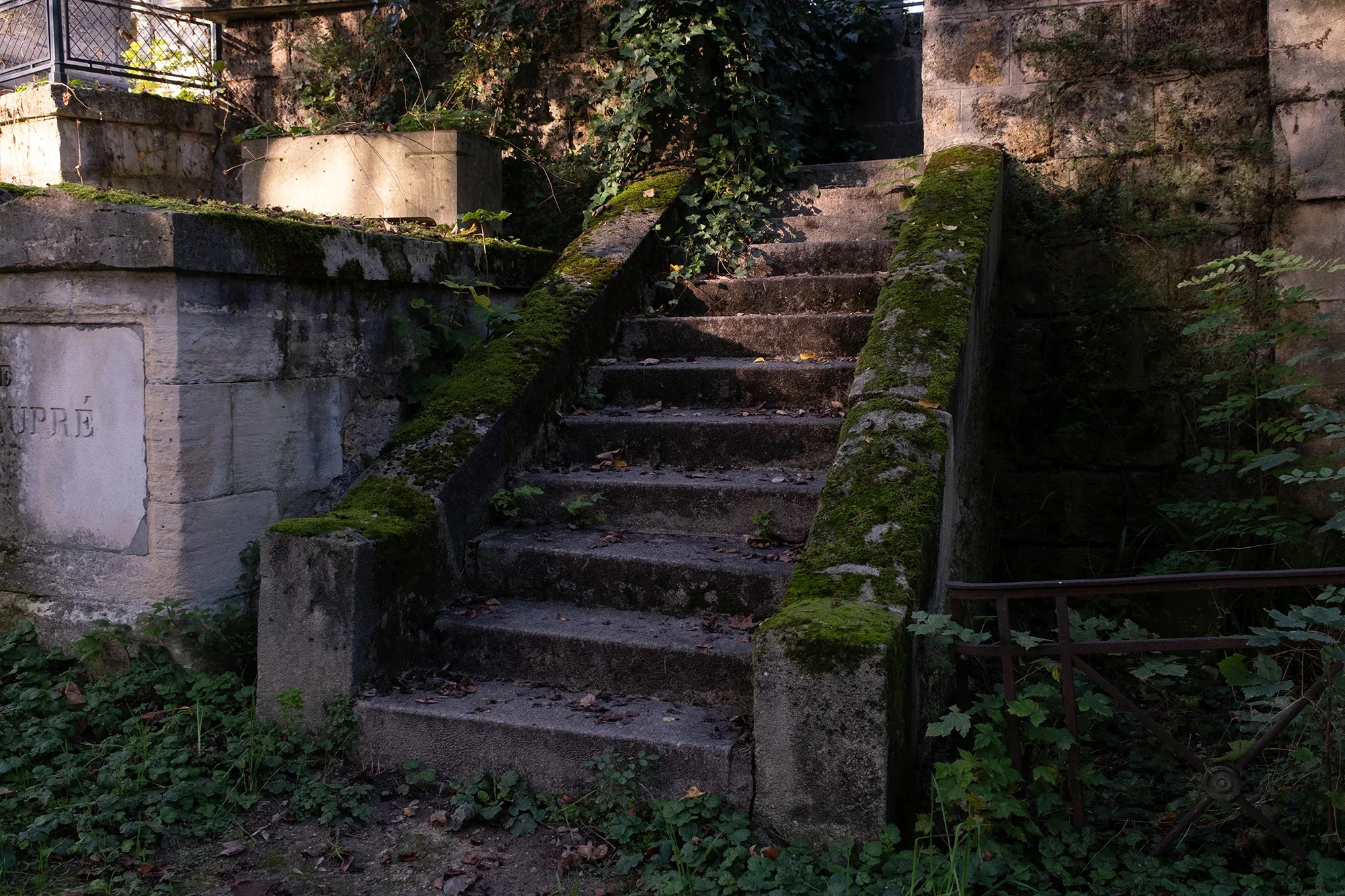Vegetation Cemetery