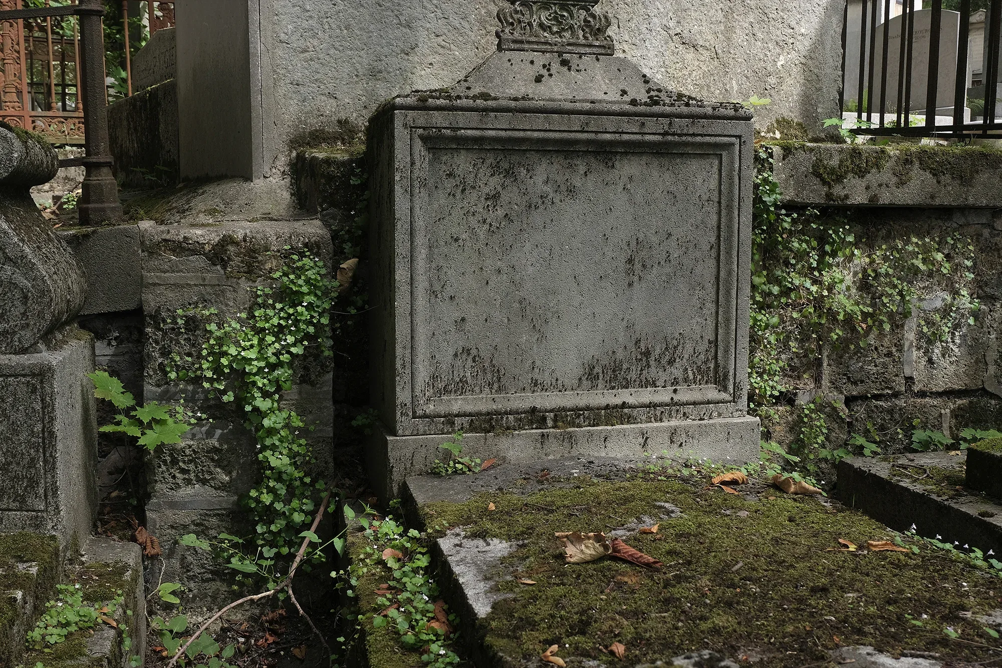 Vegetation Cemetery