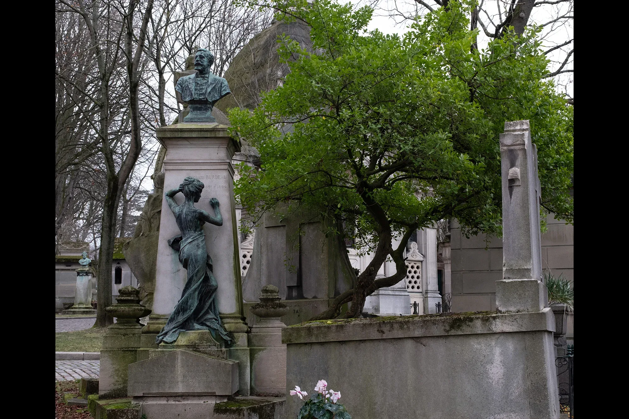 Vegetation Cemetery