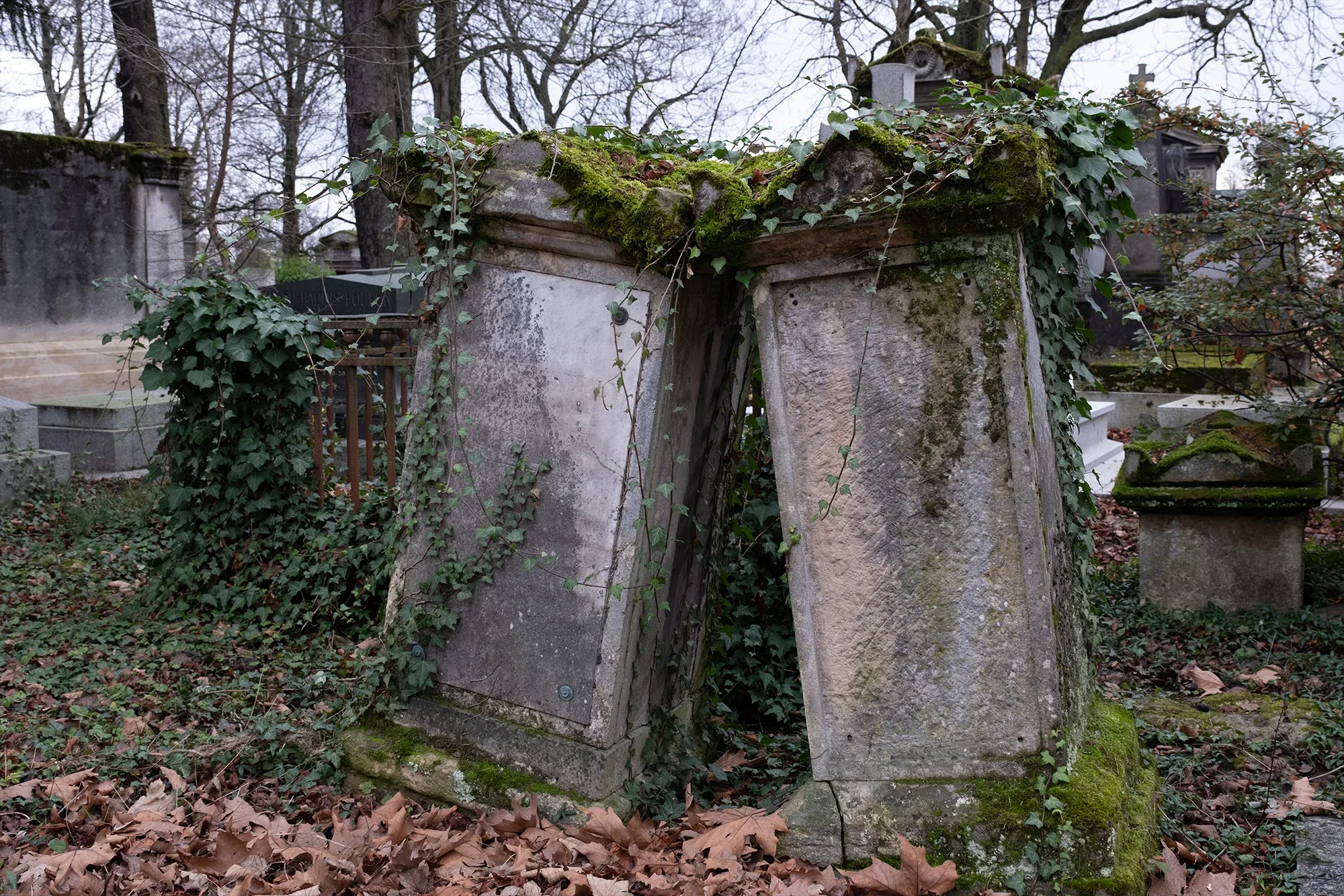 Vegetation Cemetery