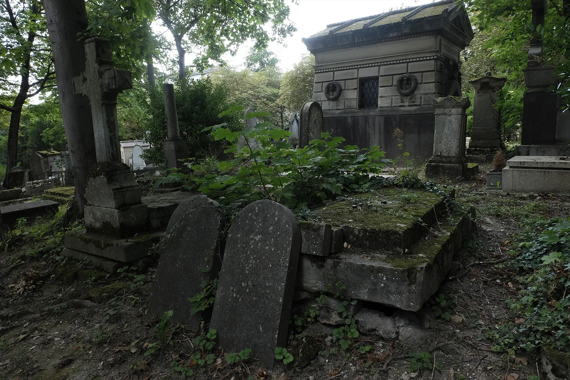 Vegetation Cemetery