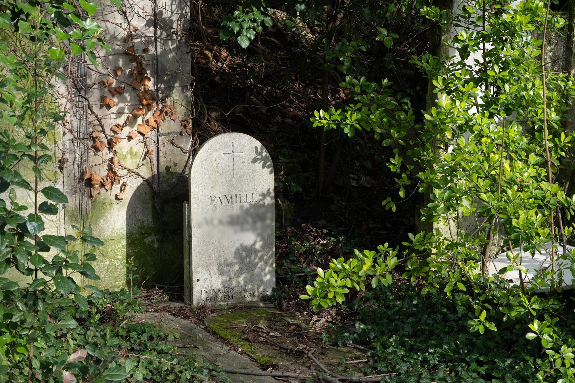 Vegetation Cemetery