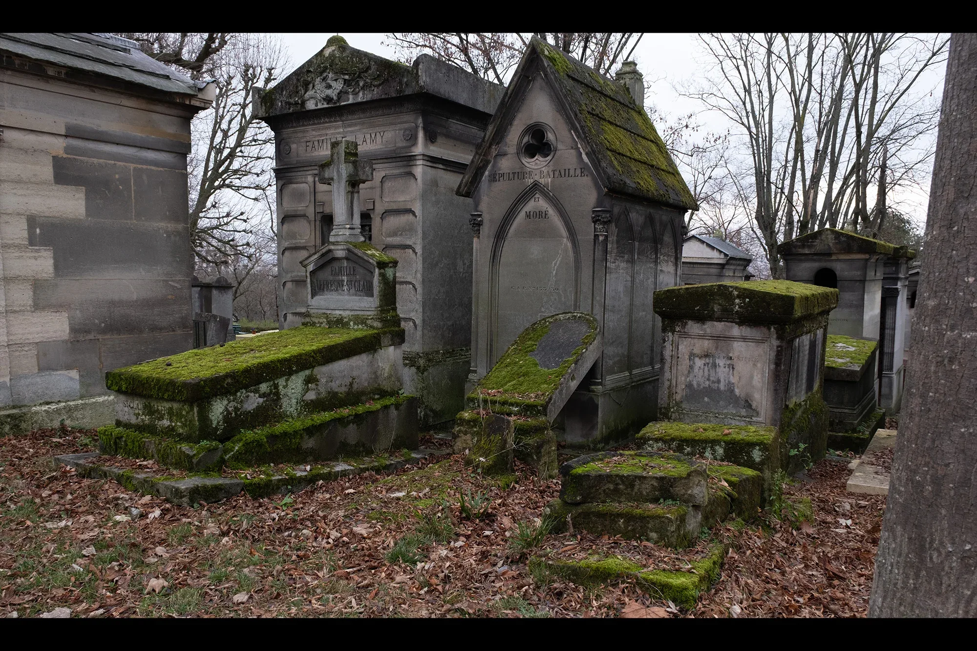 Vegetation Cemetery