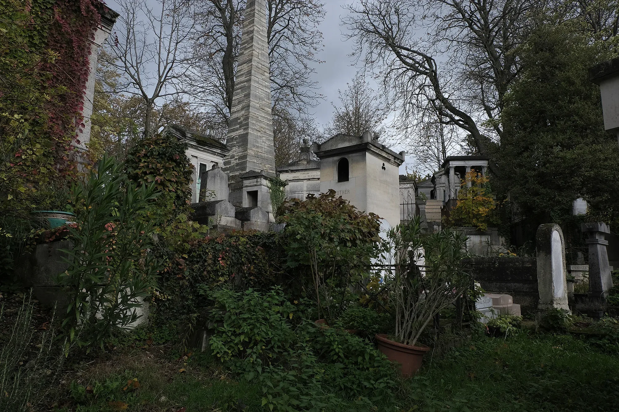 Vegetation Cemetery