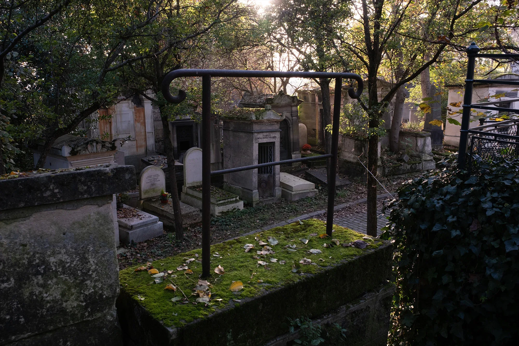 Vegetation Cemetery