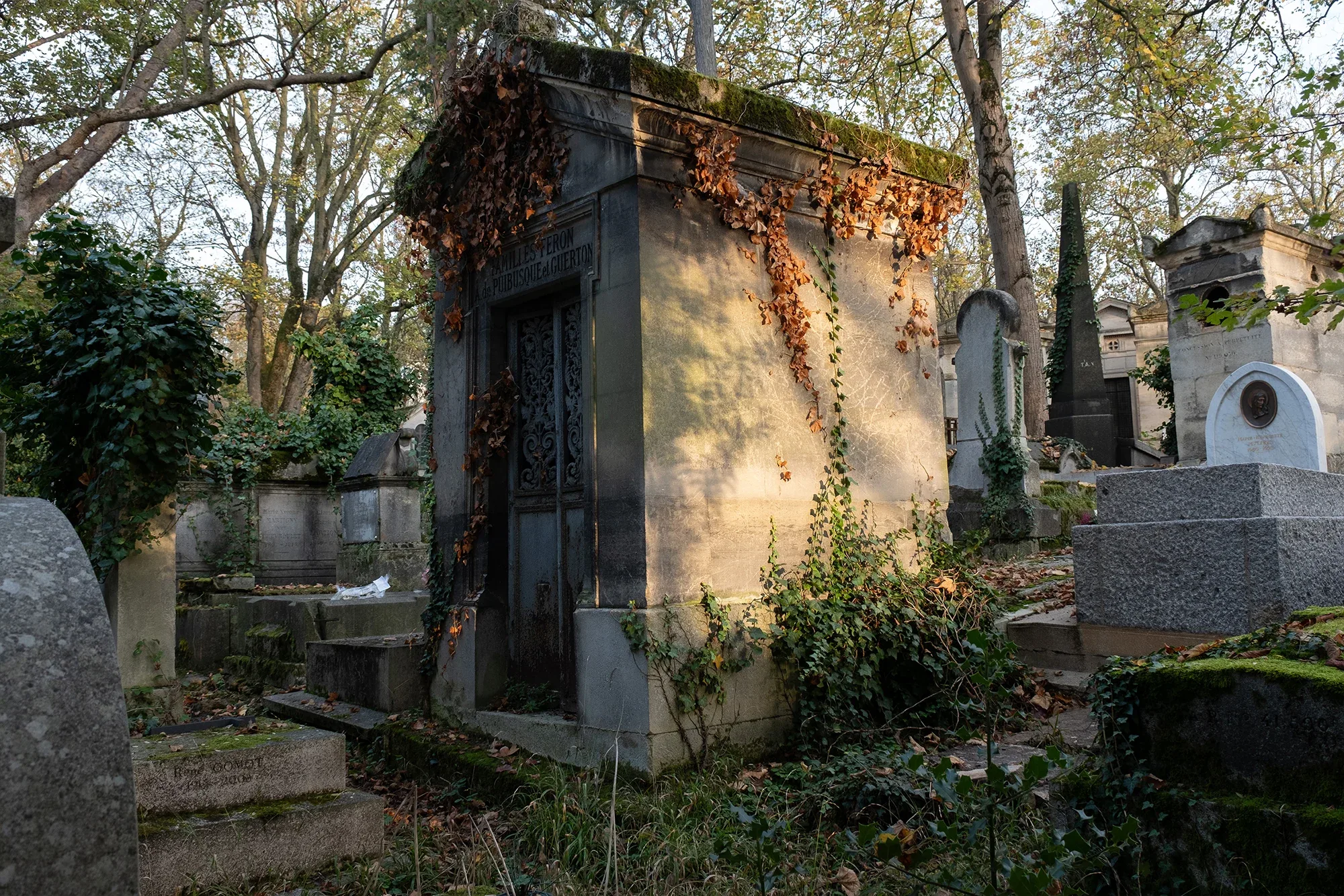 Vegetation Cemetery