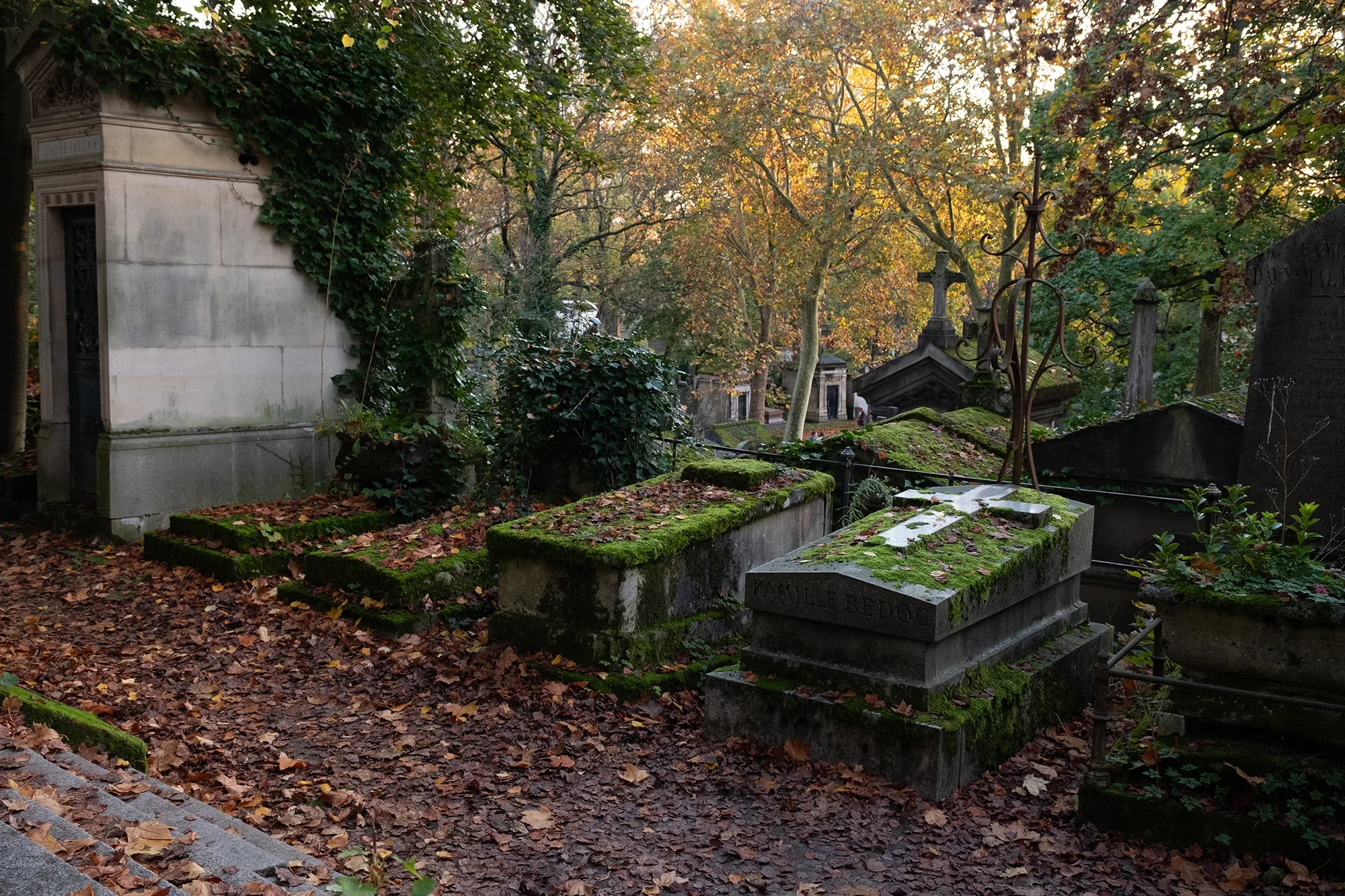 Vegetation Cemetery