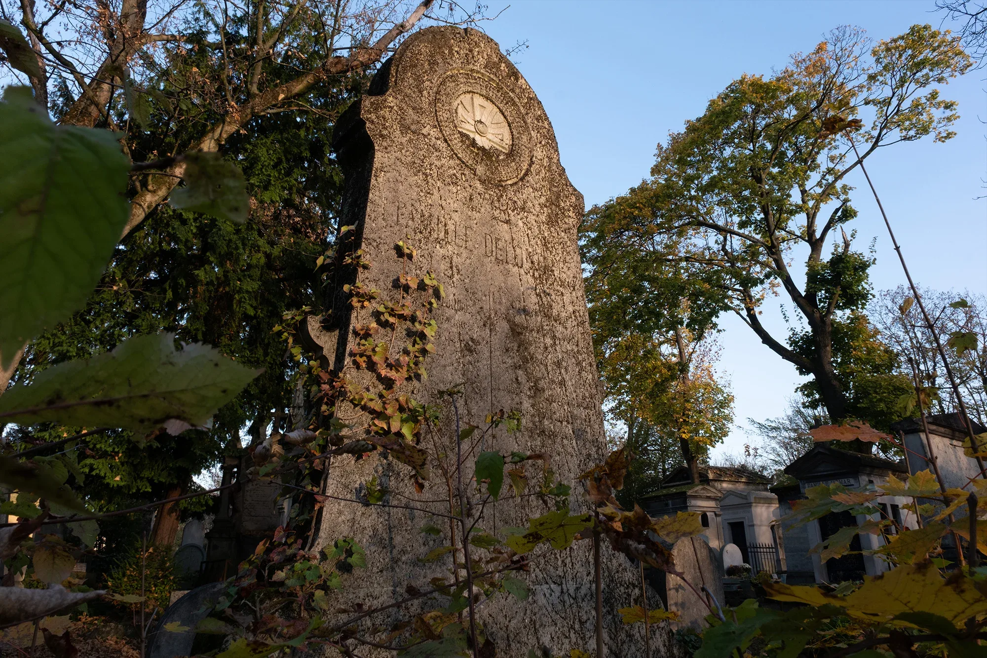 Vegetation Cemetery