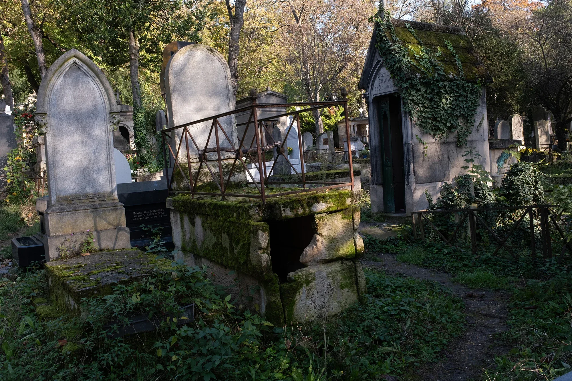 Vegetation Cemetery