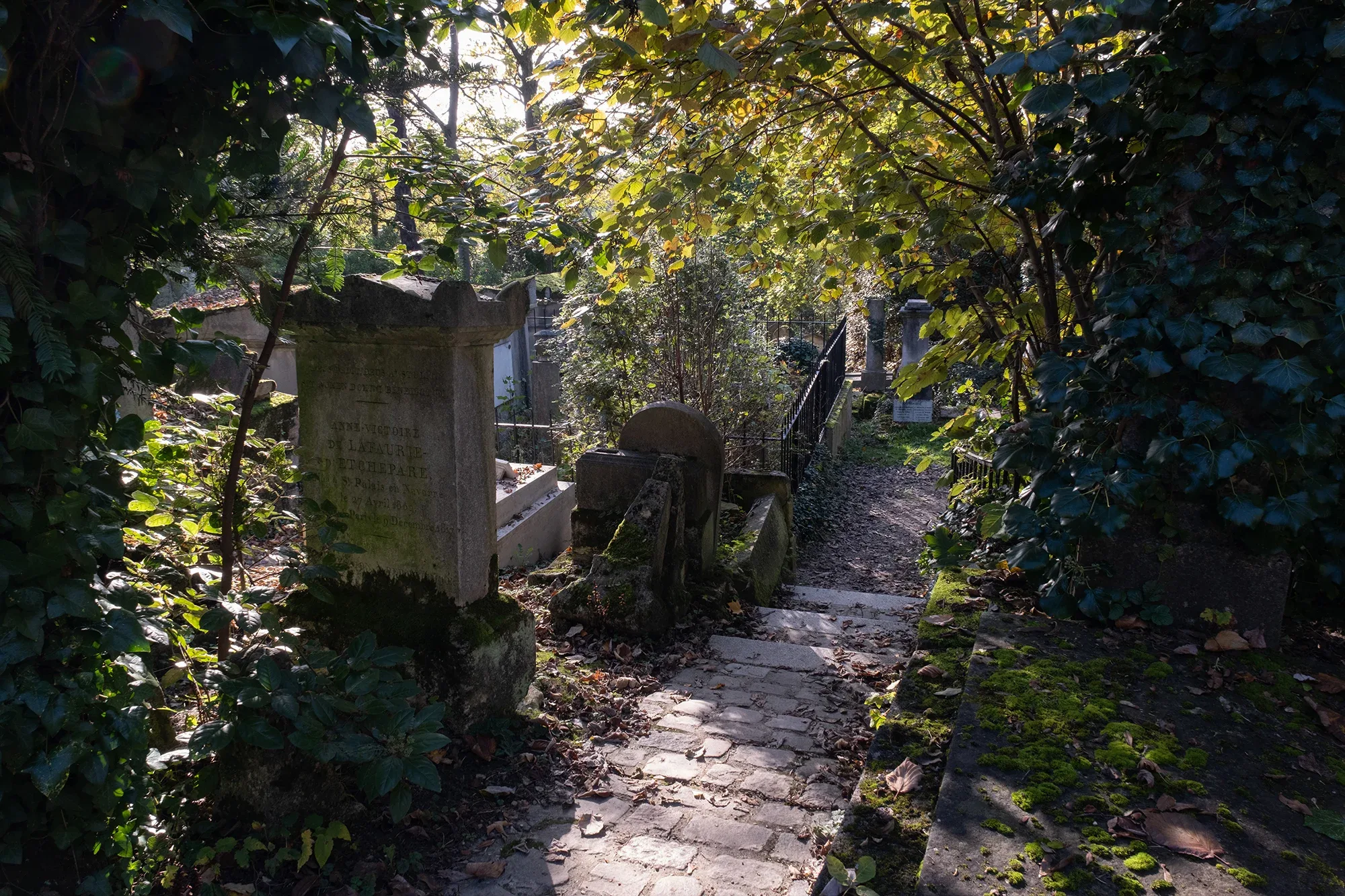 Vegetation Cemetery