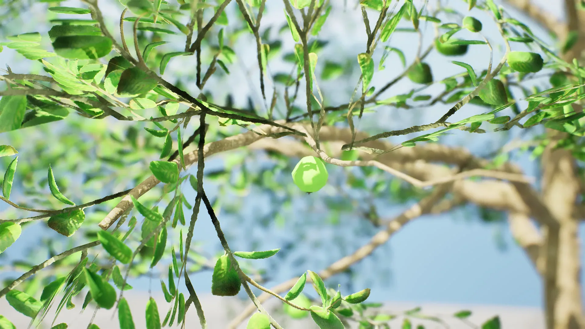 Game-Ready Guava Tree
