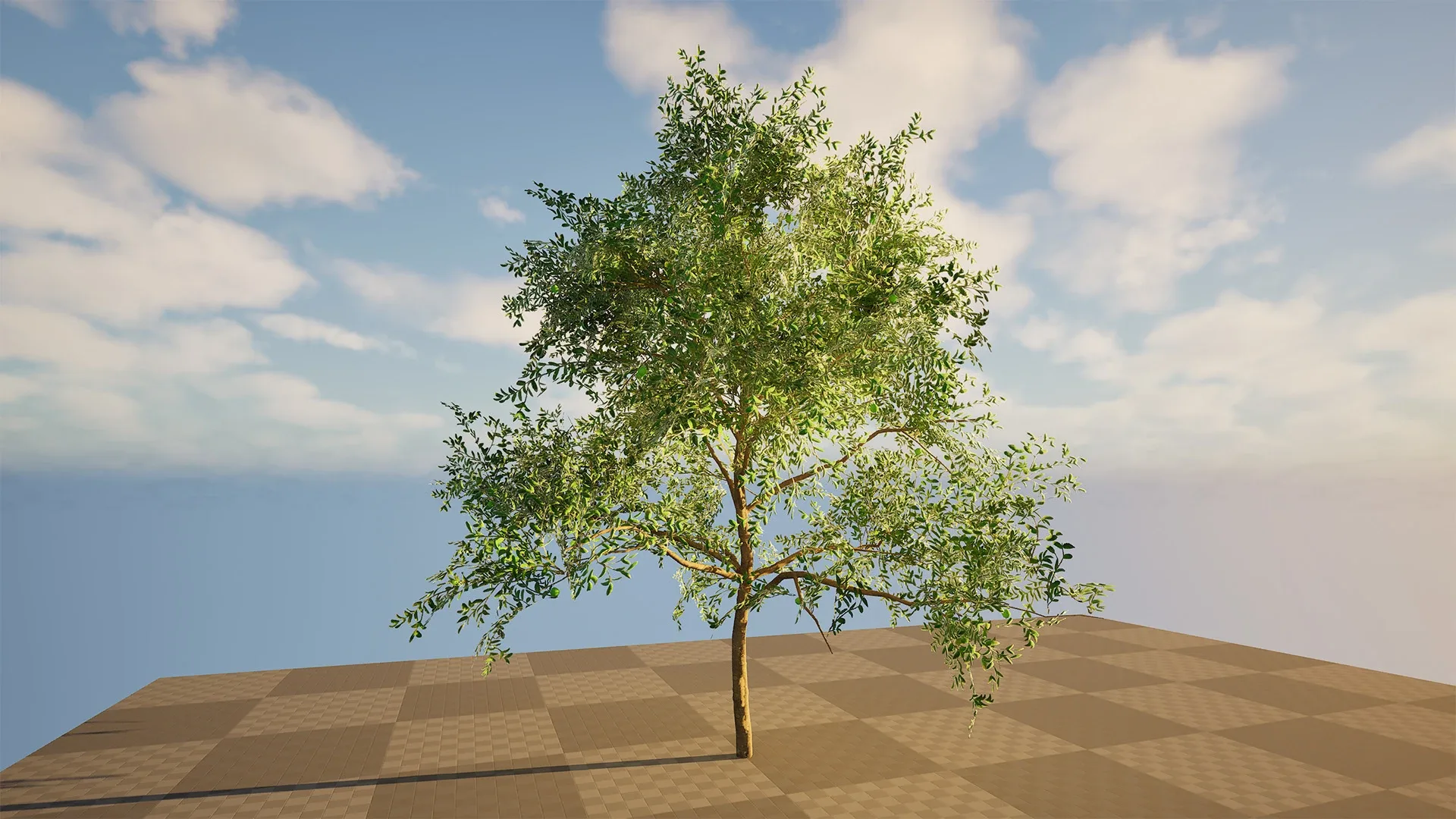 Game-Ready Guava Tree