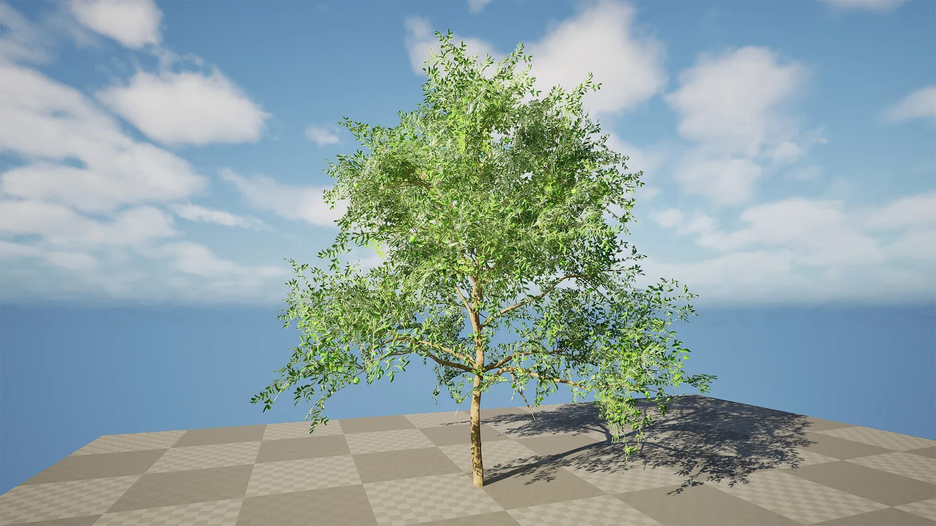 Game-Ready Guava Tree