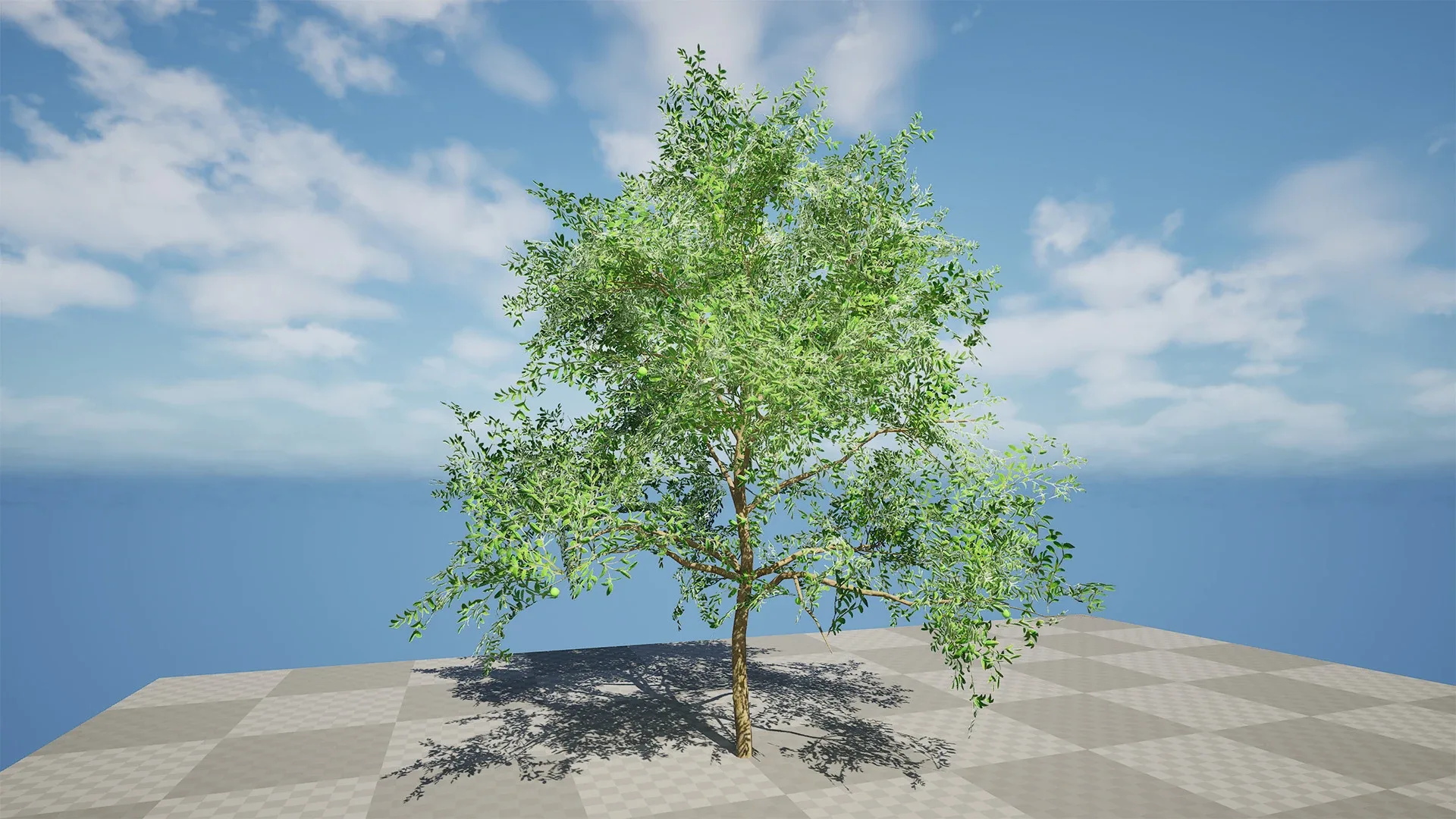 Game-Ready Guava Tree