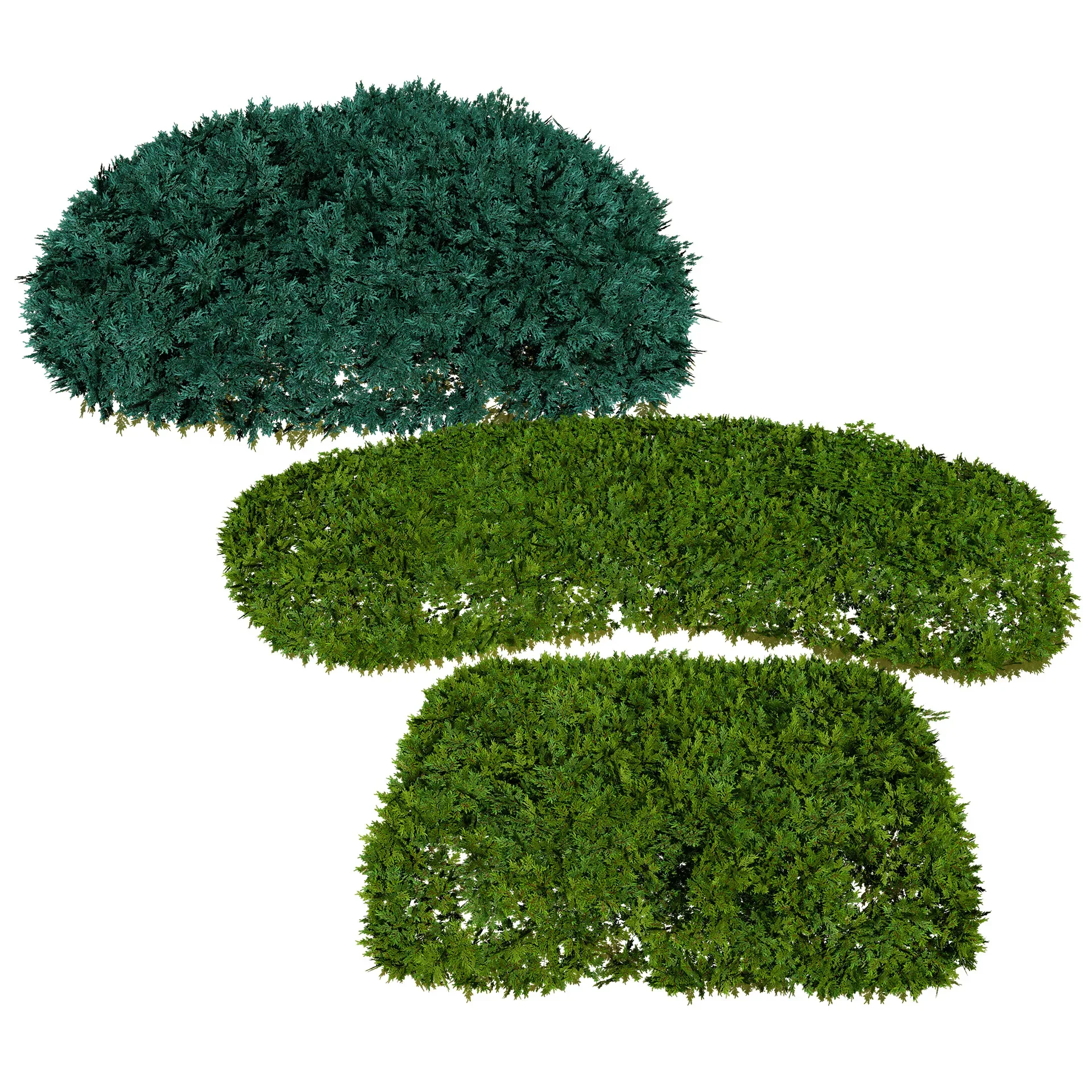 Juniper Bushes 3D Model - FlippedNormals