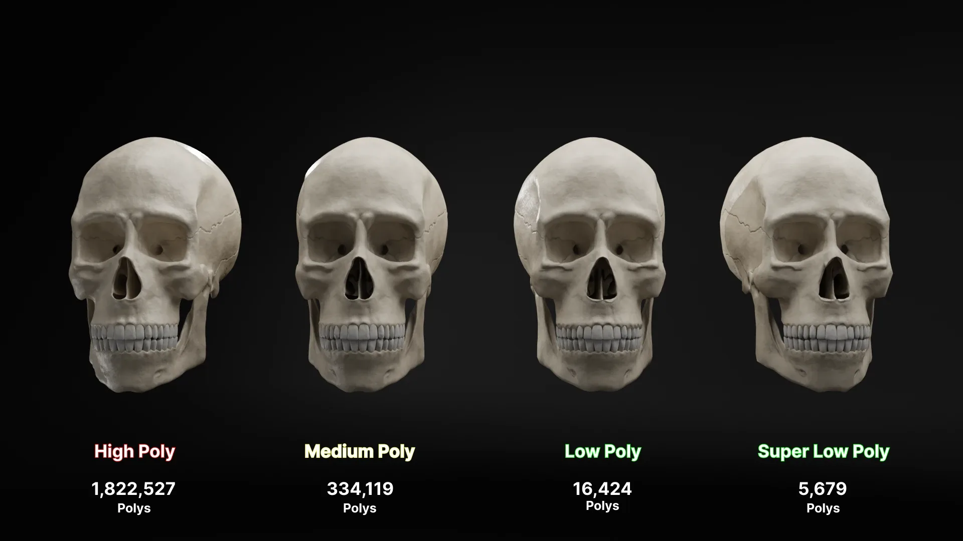 Realistic Human Skull High-Poly and Low-Poly Versions - 3D Model