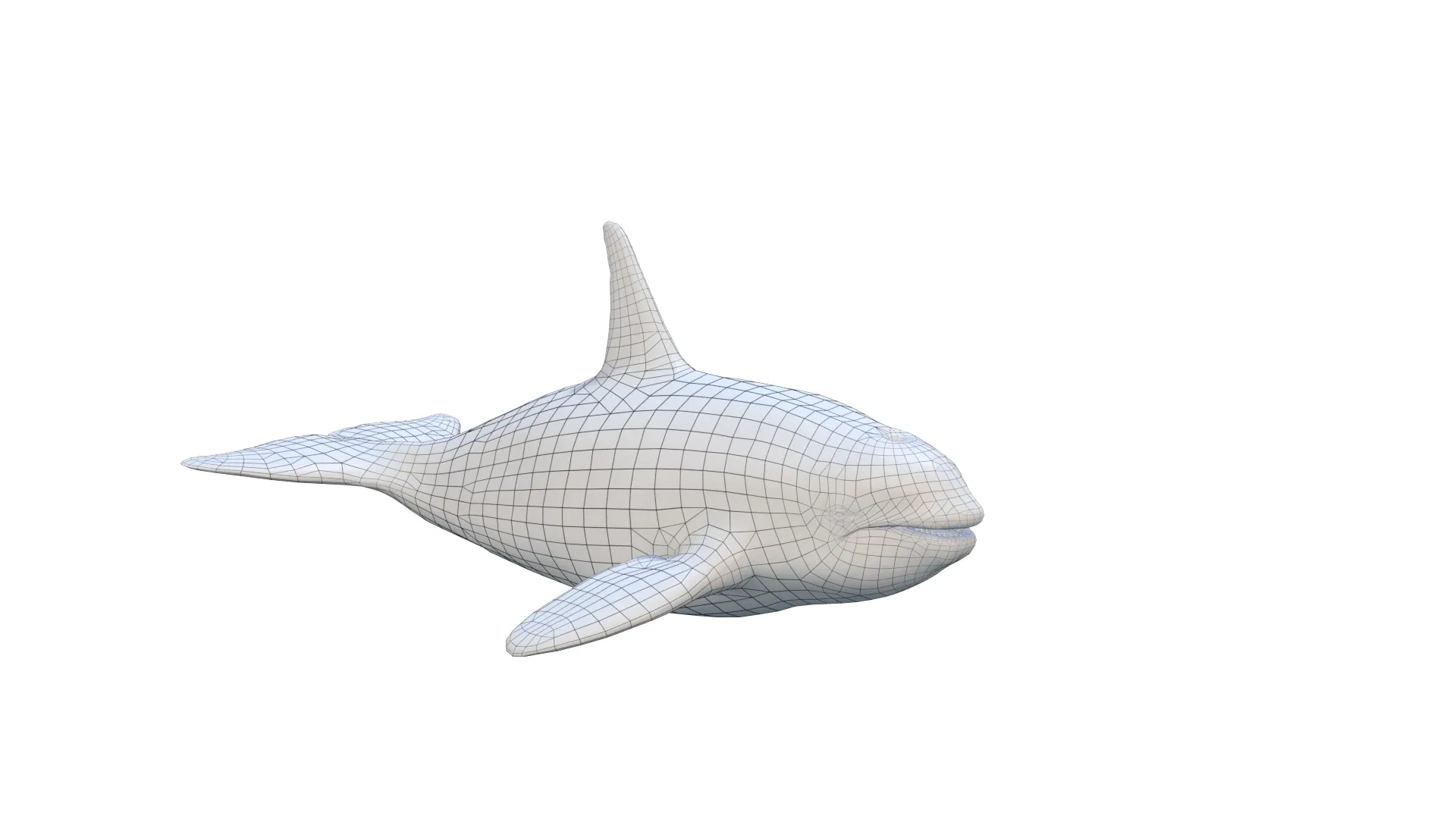 Black and White Dolphin 3D Model