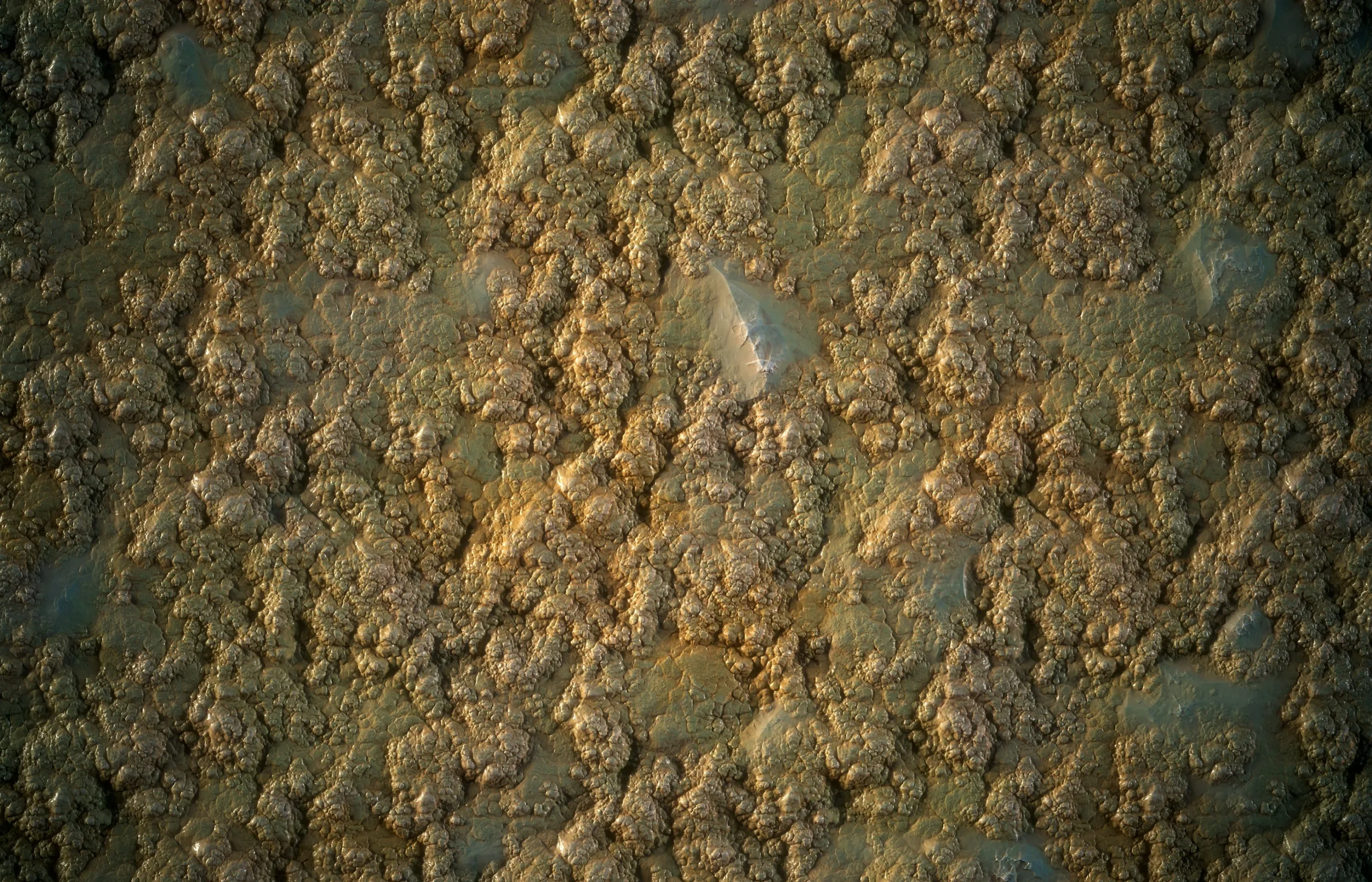 Stone Floor & Moss (Stylized) - Vol 18 - SBS & SBsar & Maps
