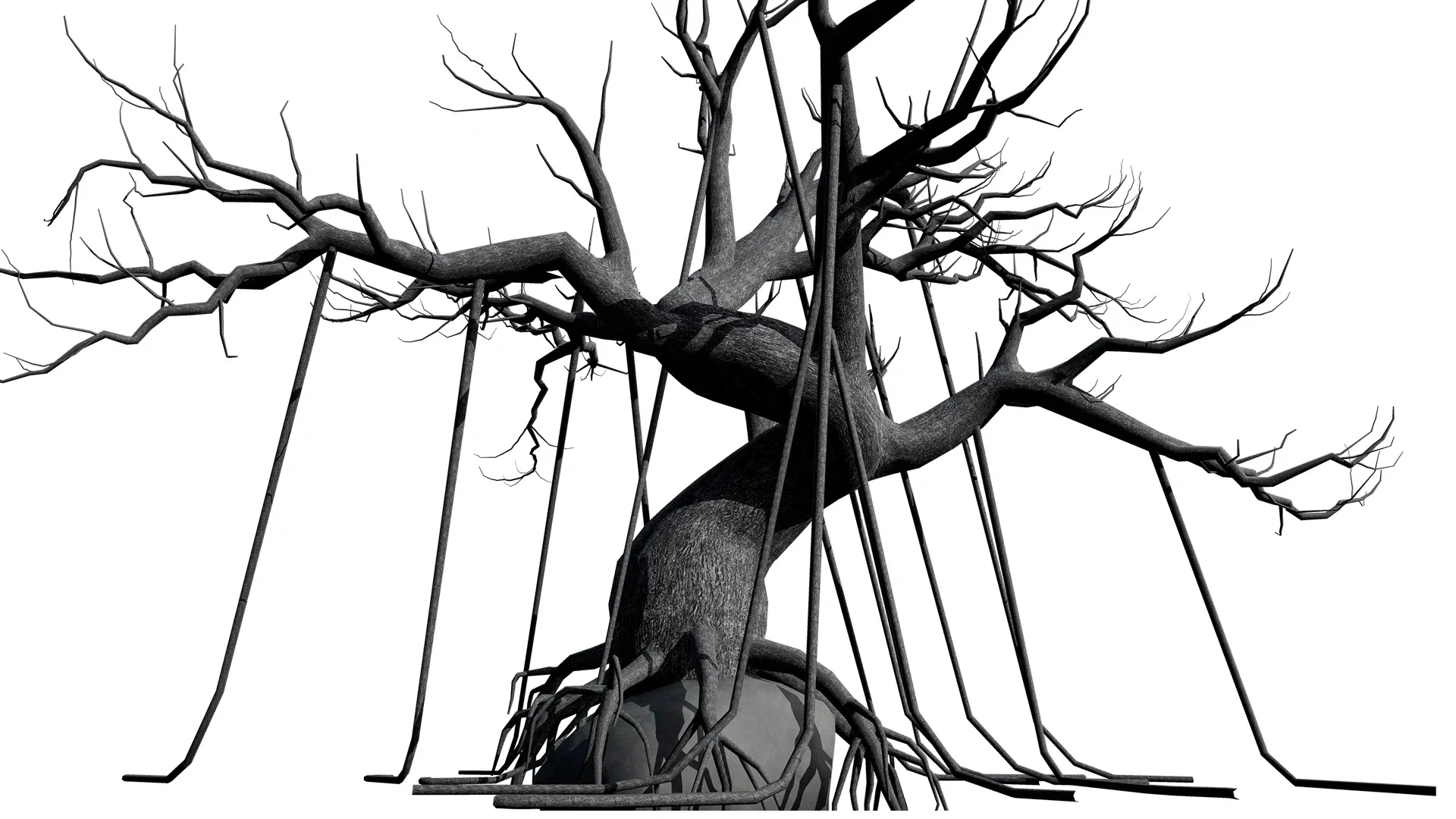 Creepy Trees 3D model