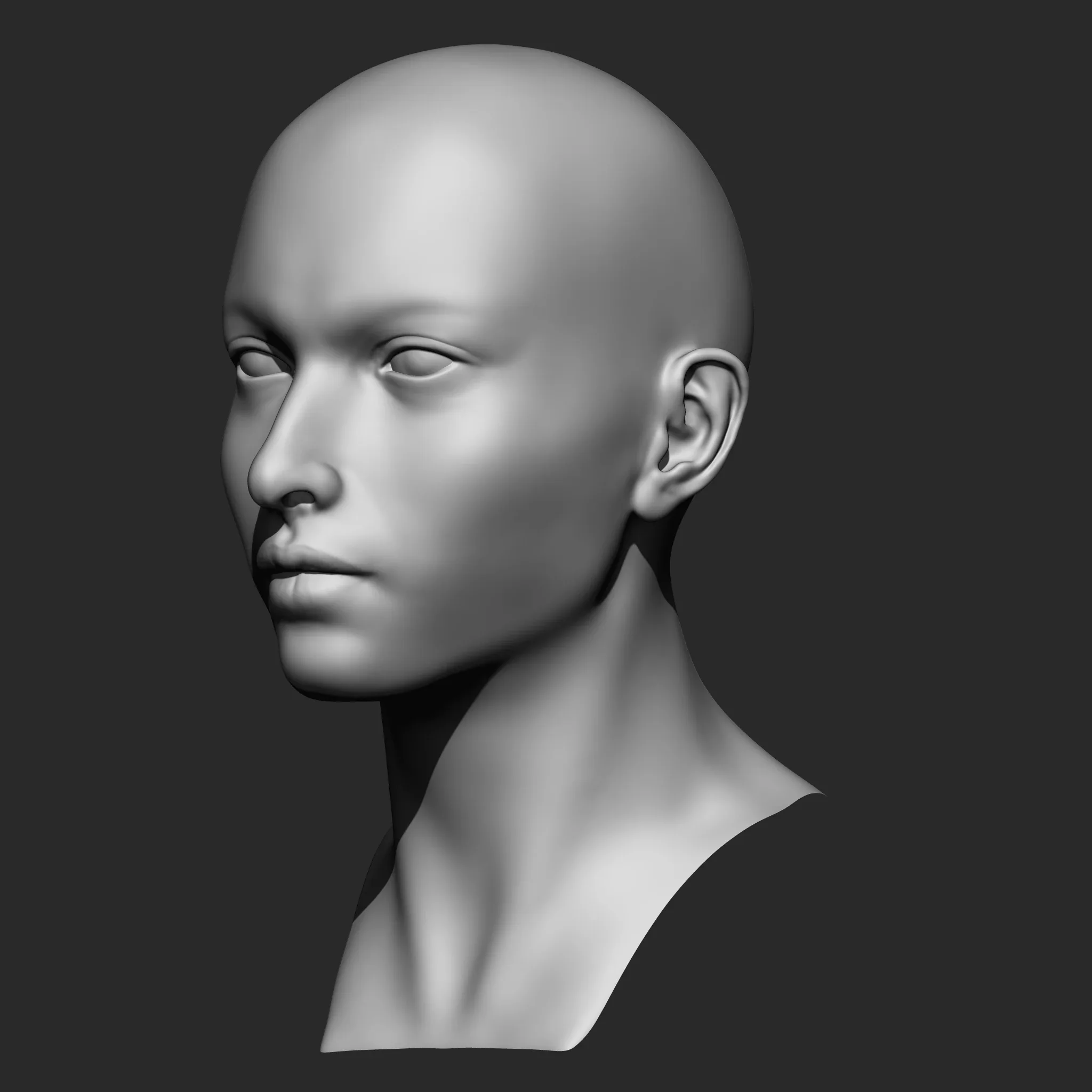 Highpoly Female Head Basemesh Ztl/Stl/Obj/Fbx Zbrush 2019