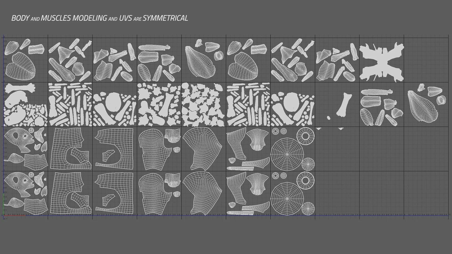 Cat Anatomy - Model & Textures - Muscles Simulation Ready