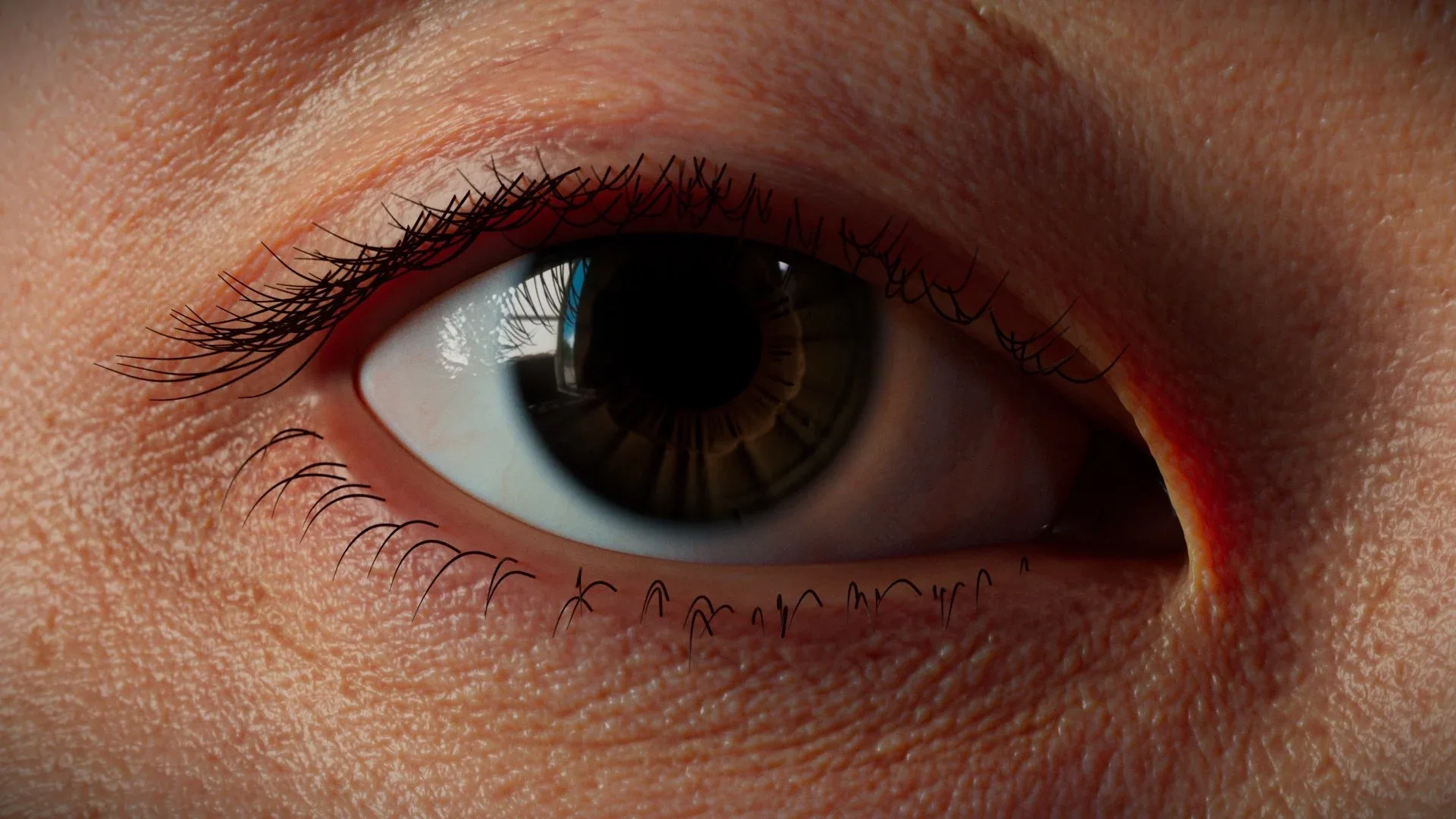 SkinGen for Houdini - Procedural Skin Texture Creation Tool