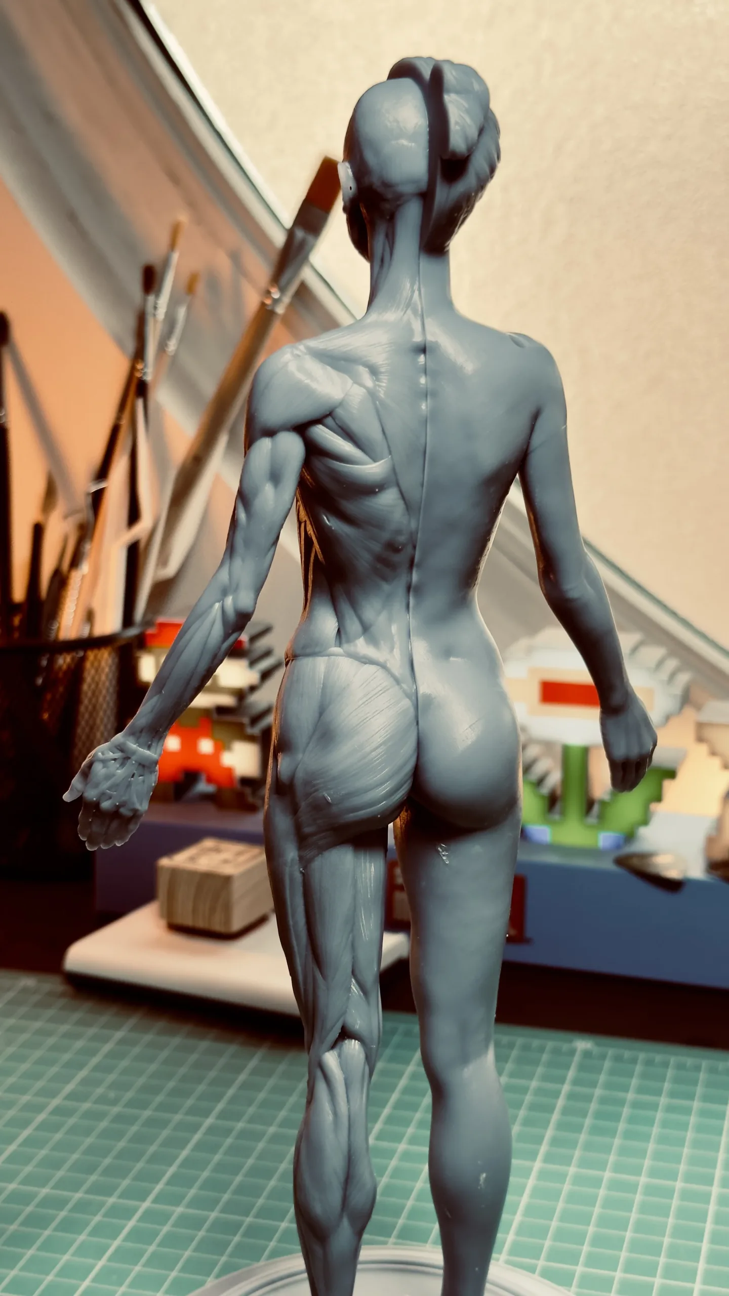 Academic Series Female Anatomy