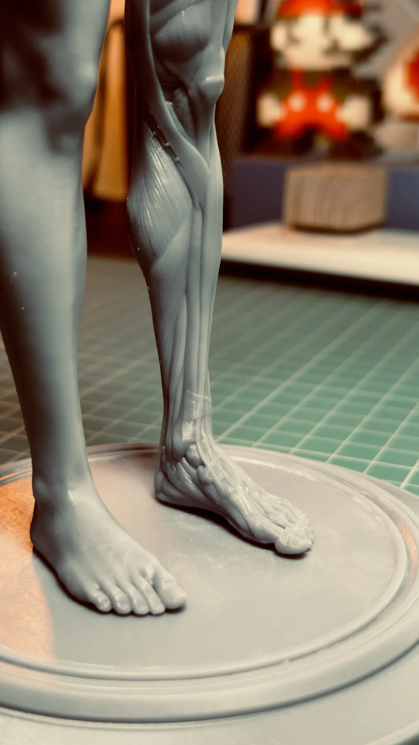 Academic Series Female Anatomy
